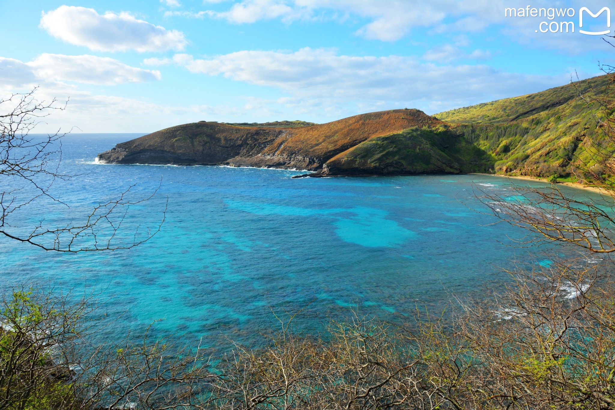 夏威夷十日跳島自駕遊(大島 毛伊島 瓦胡島)