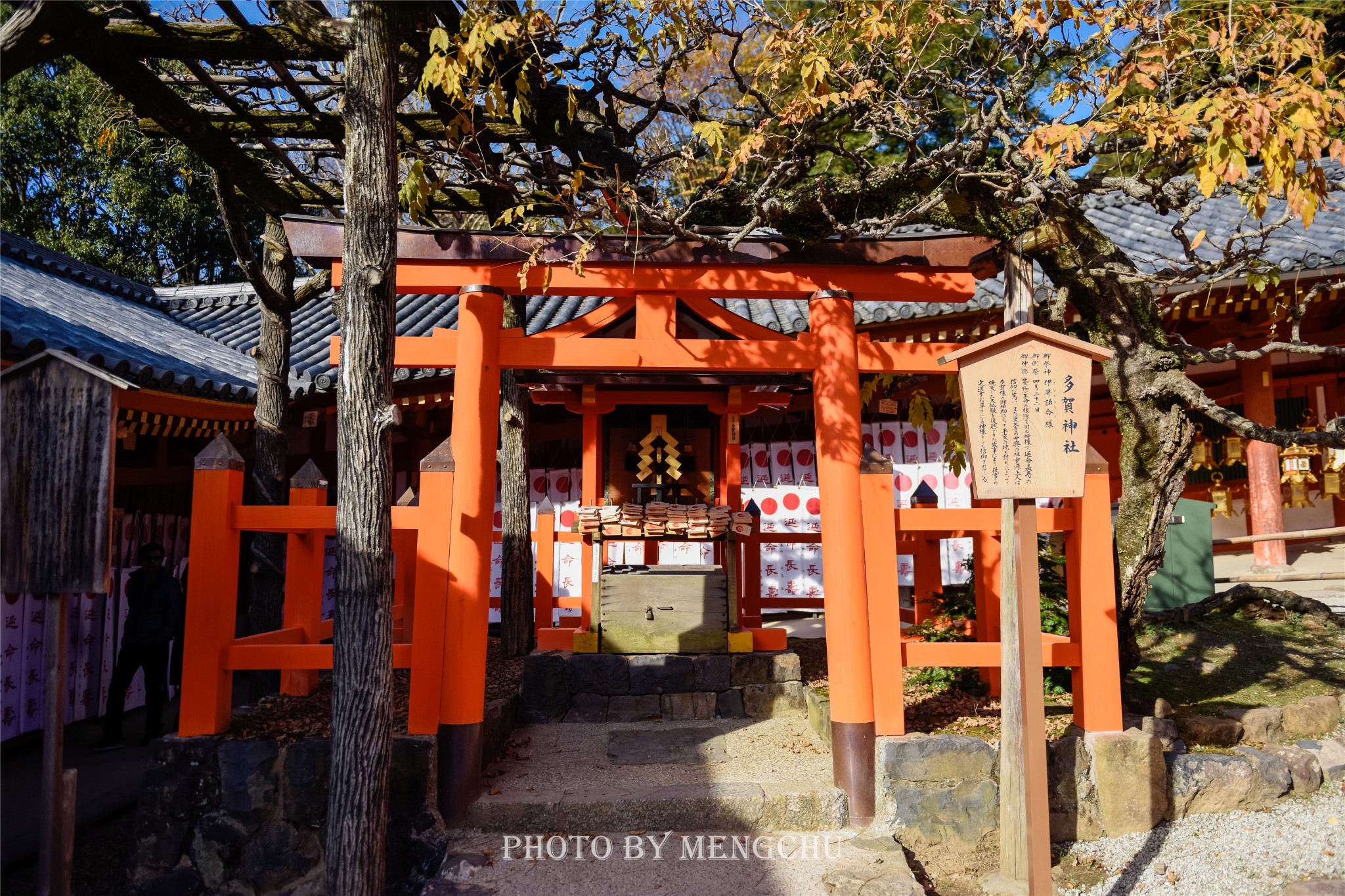 京都自助遊攻略