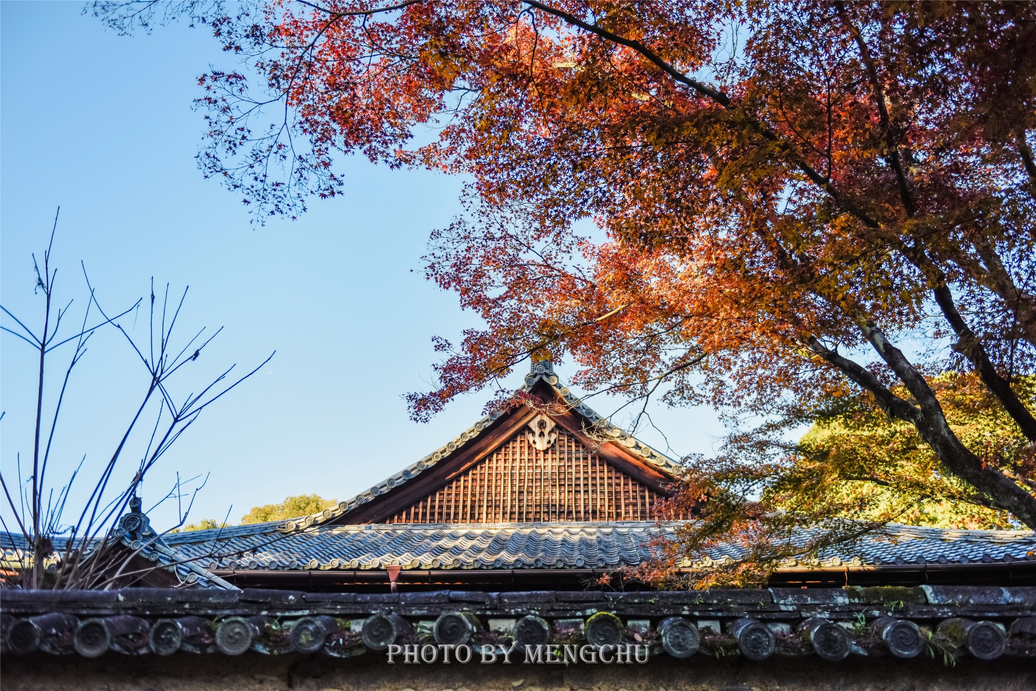 京都自助遊攻略