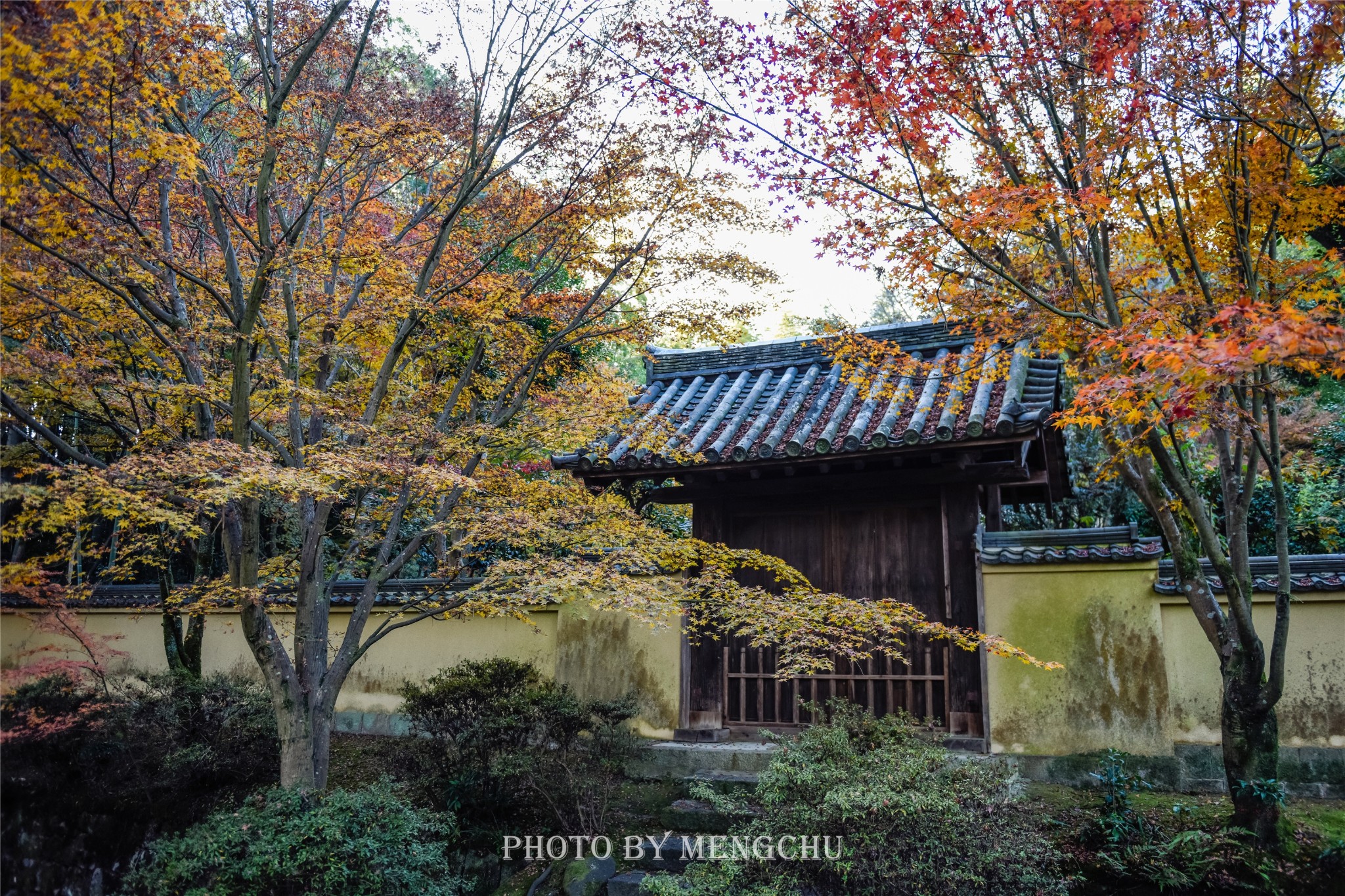 京都自助遊攻略