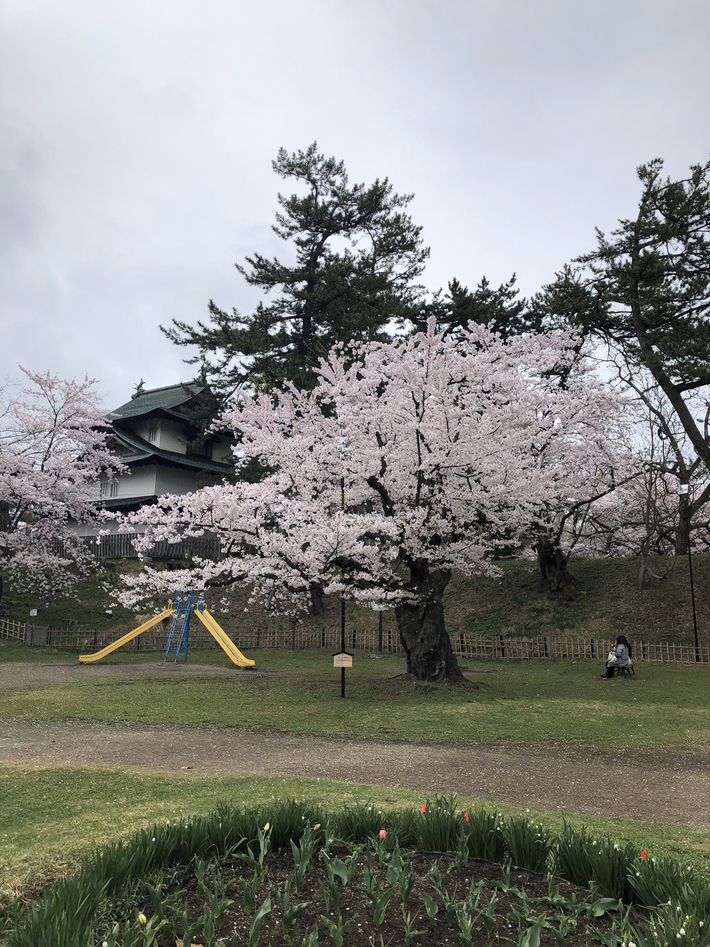 青森縣自助遊攻略