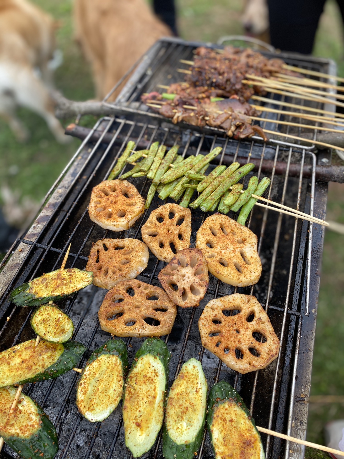 成都周边三岔湖露营烧烤清净地带上狗子去露营