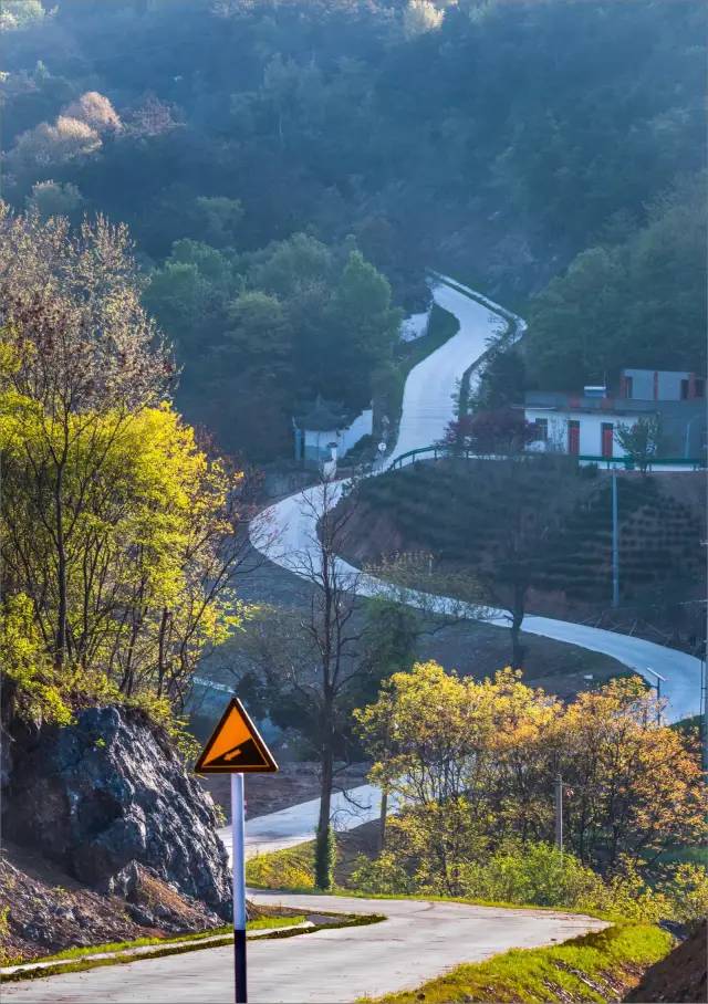 巢湖市 自由行攻略                      环银屏山风景区  新修山道