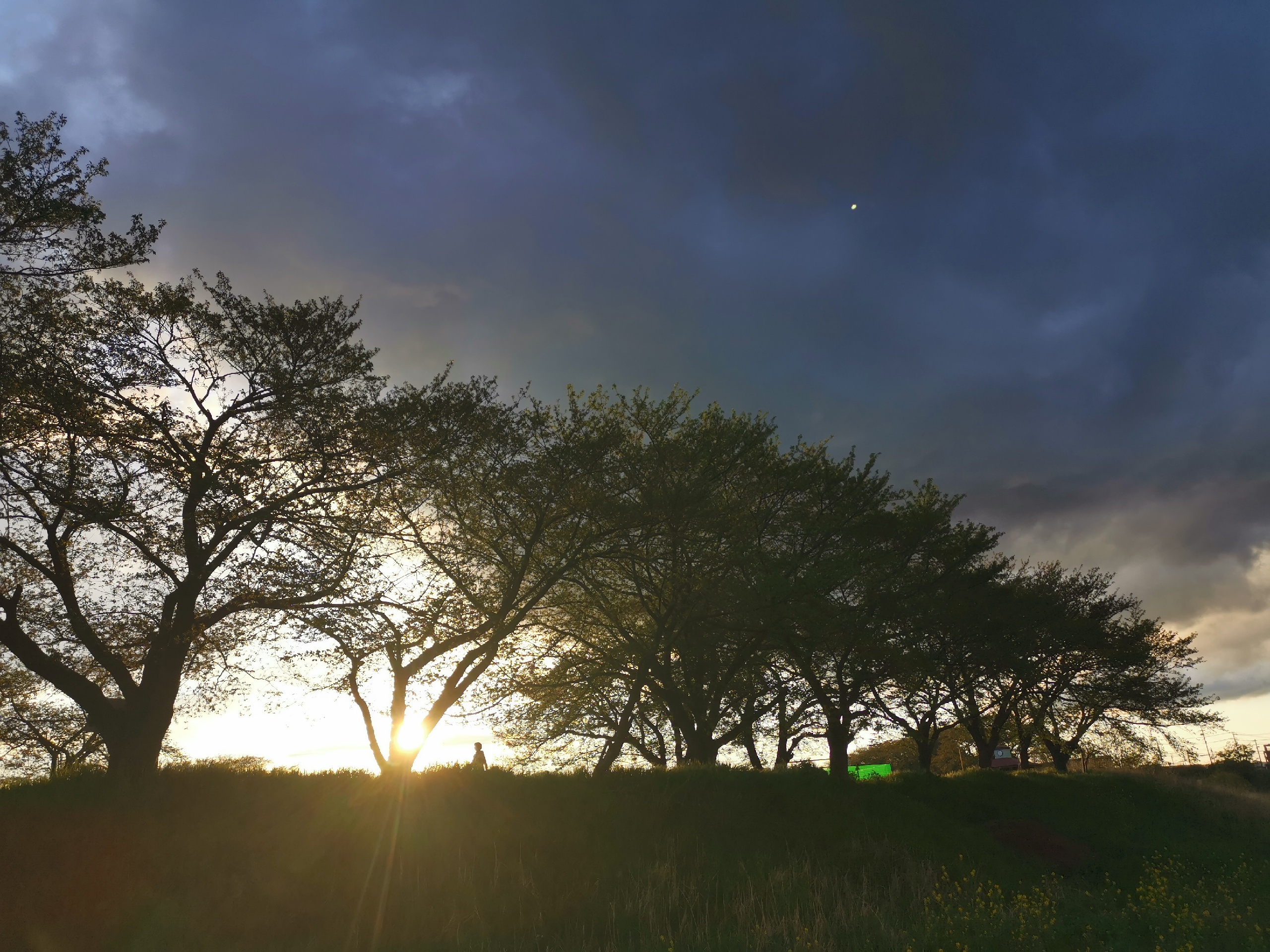 【海老名市景点图片】Sagami River