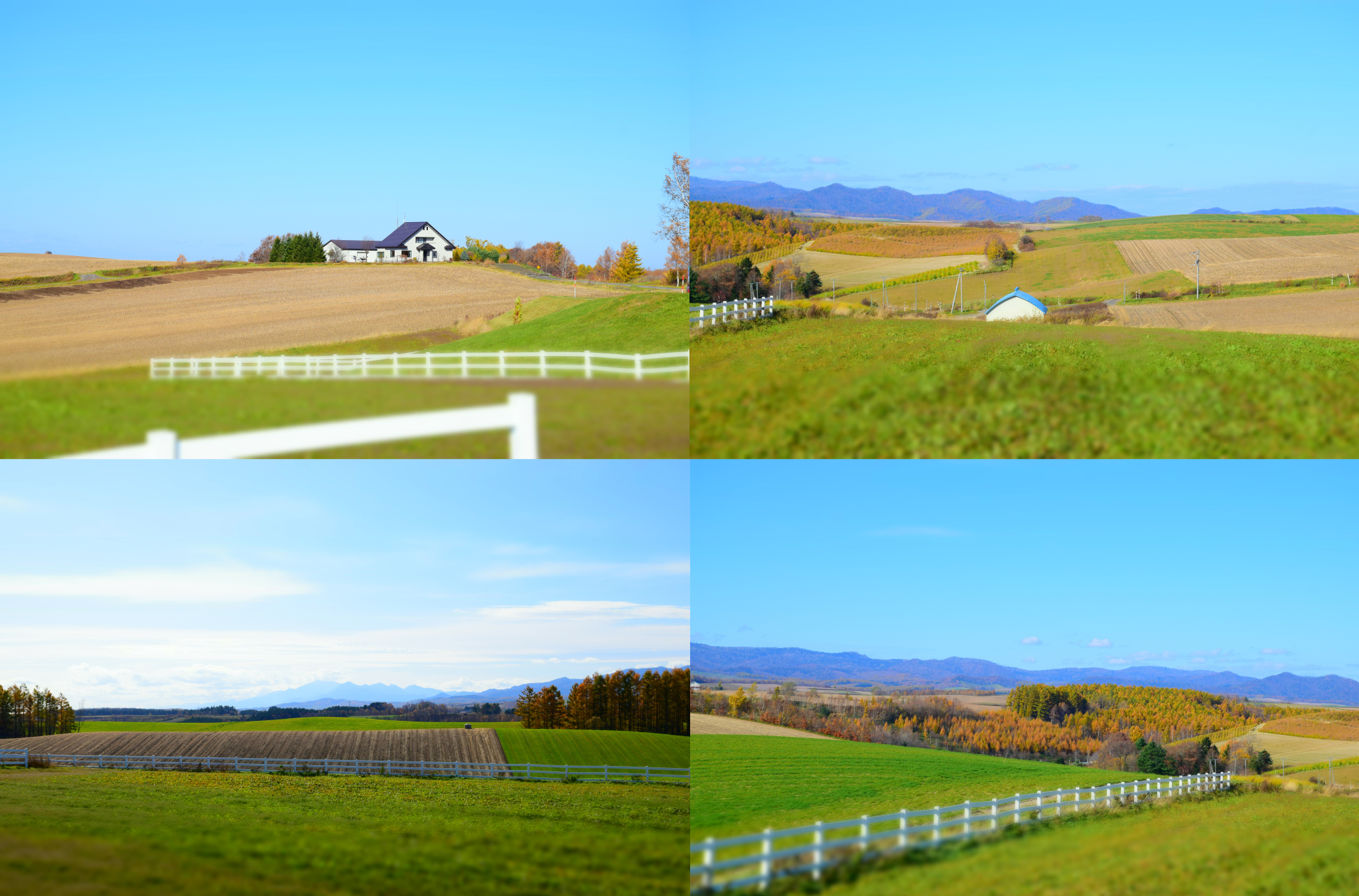 北海道自助遊攻略