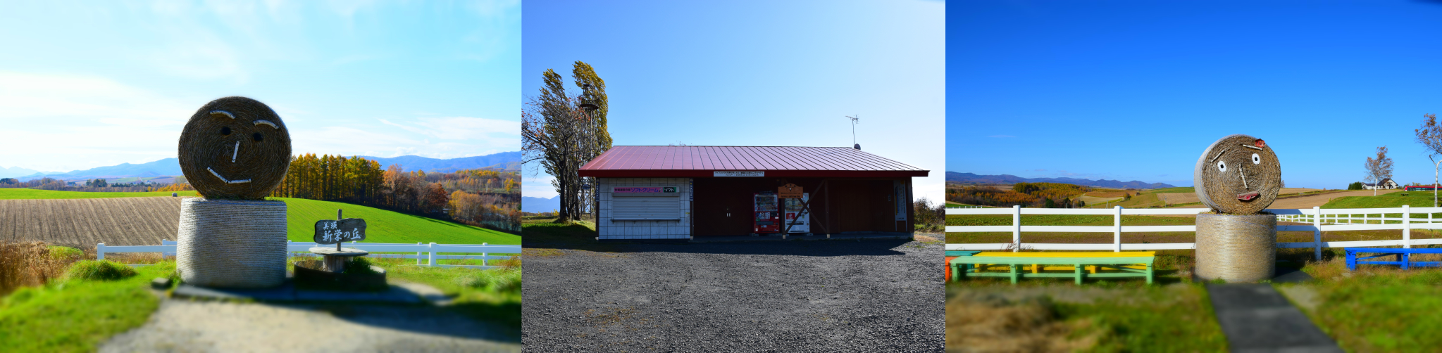 北海道自助遊攻略