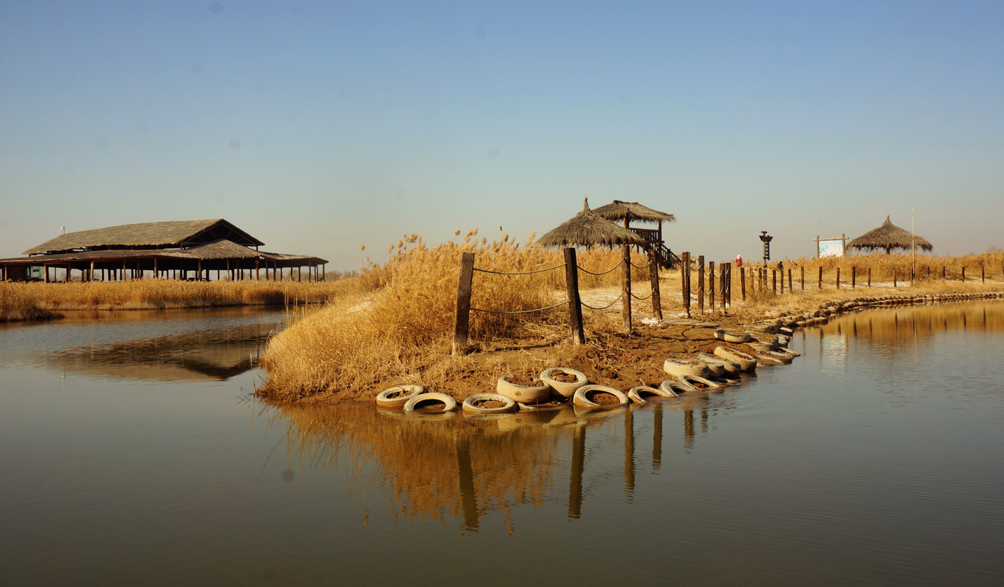 脚踏黄土来,一路银川.镇北堡,水洞沟,黄河古渡行