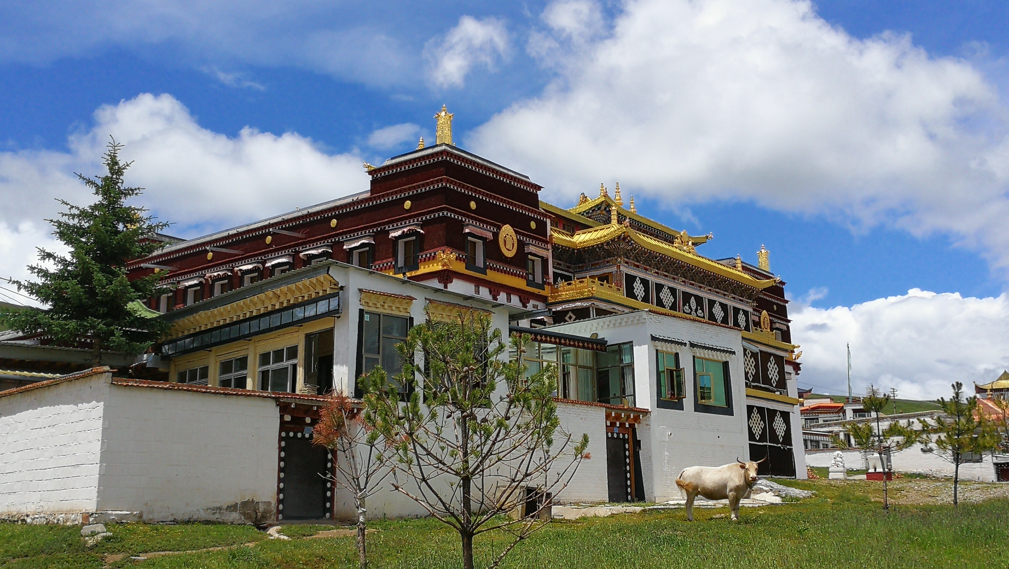 若尔盖达扎寺