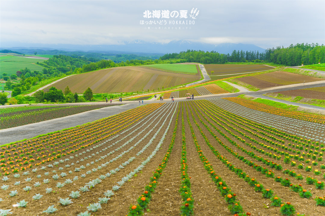 北海道自助遊攻略