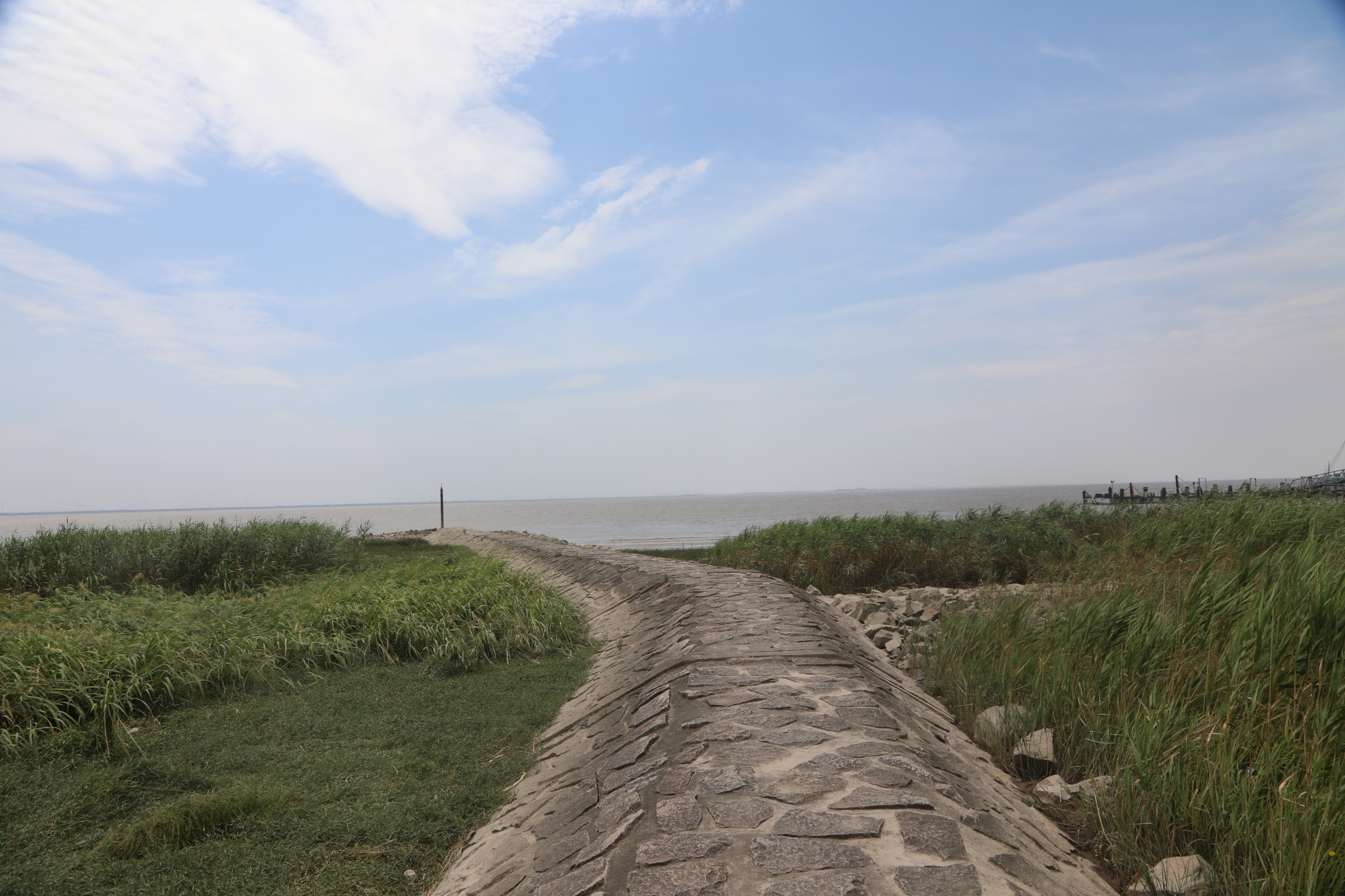 探访崇明堡镇的网红丁坝,上海旅游攻略 - 马蜂窝