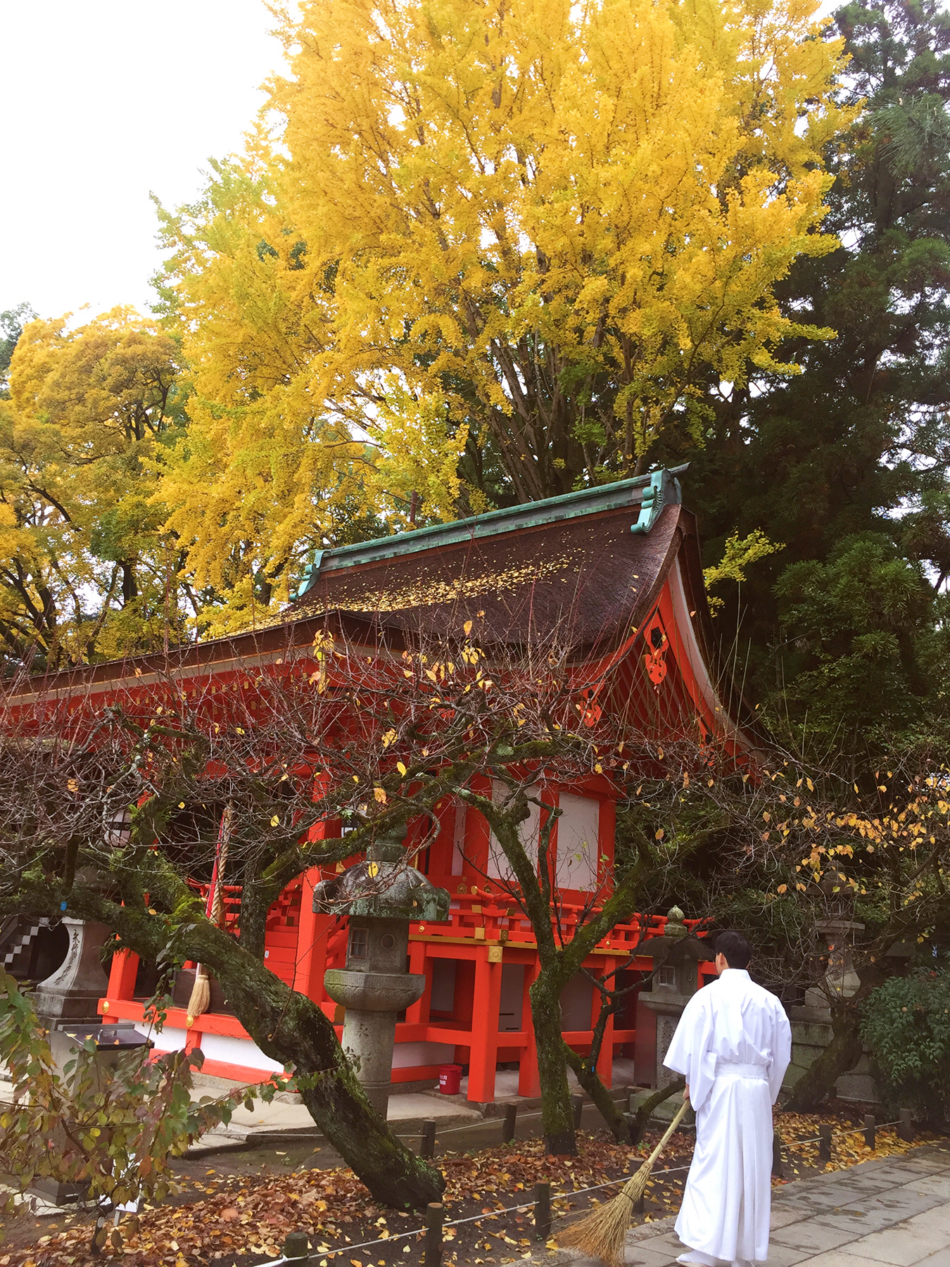 京都自助遊攻略