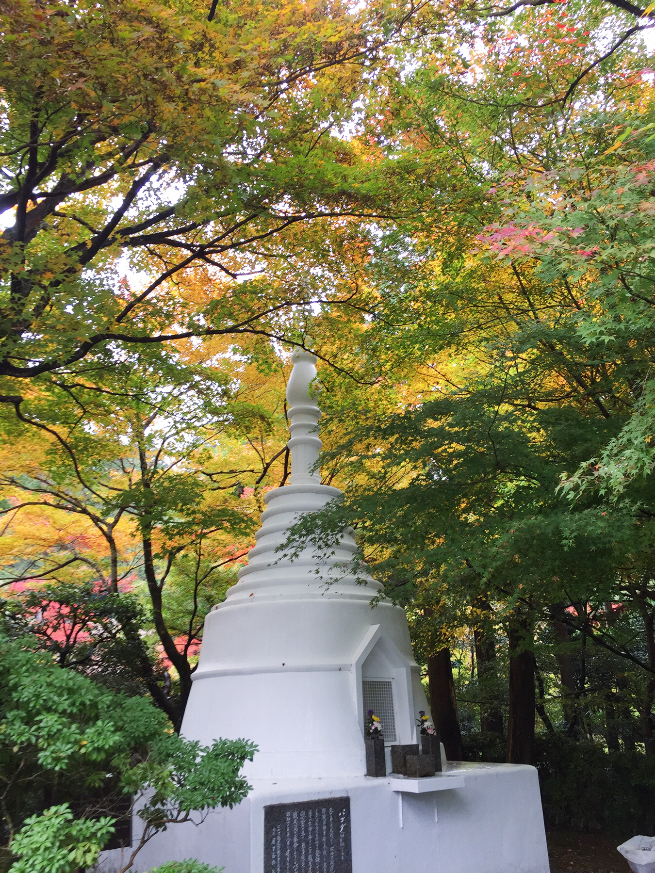 京都自助遊攻略