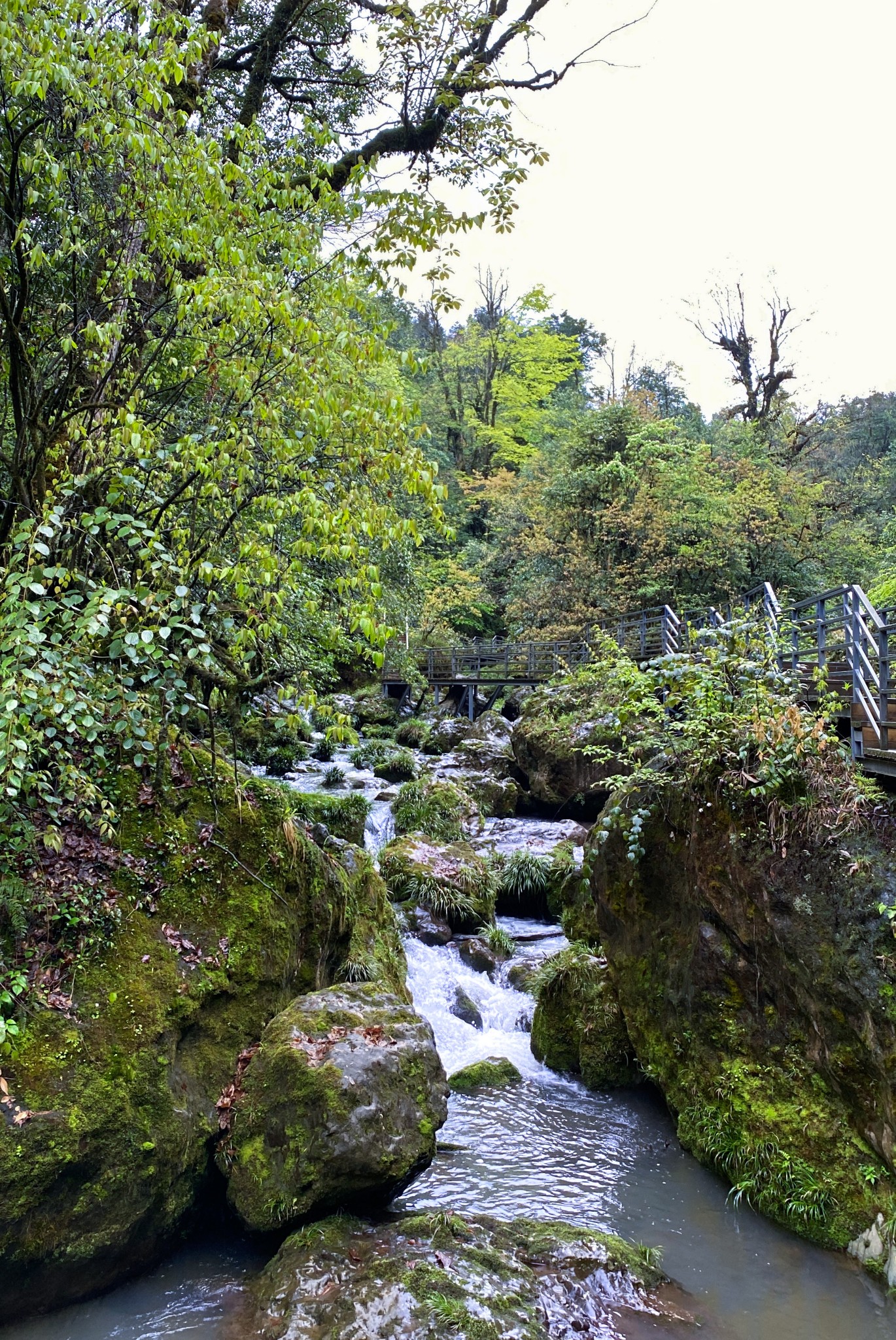 四川雅安荥经县龙苍沟叠翠溪景区两日游