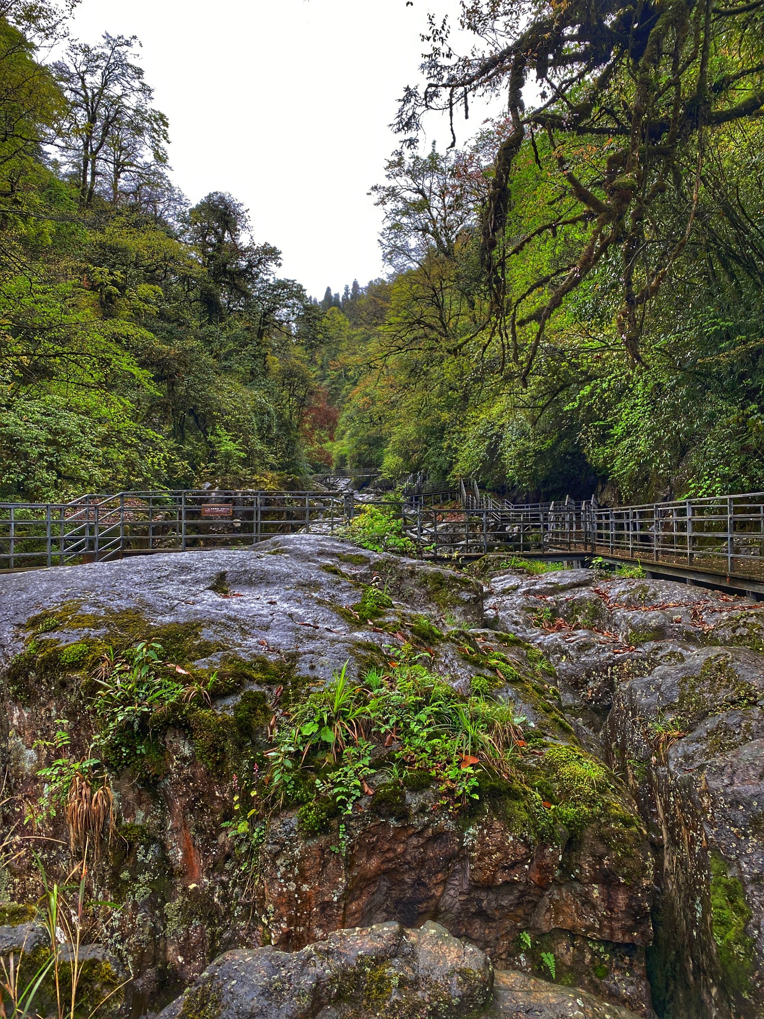 四川雅安荥经县龙苍沟叠翠溪景区两日游