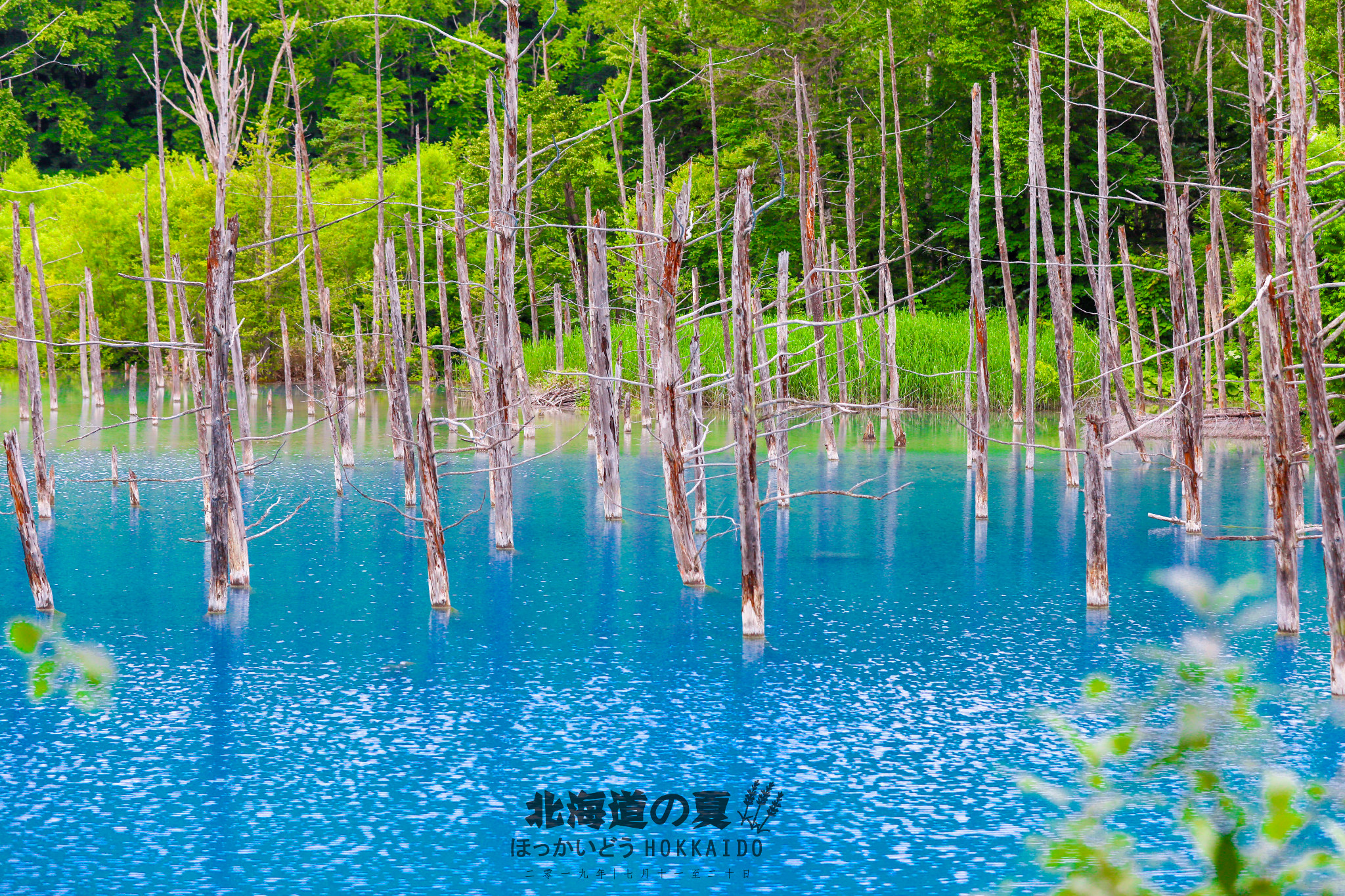 北海道自助遊攻略