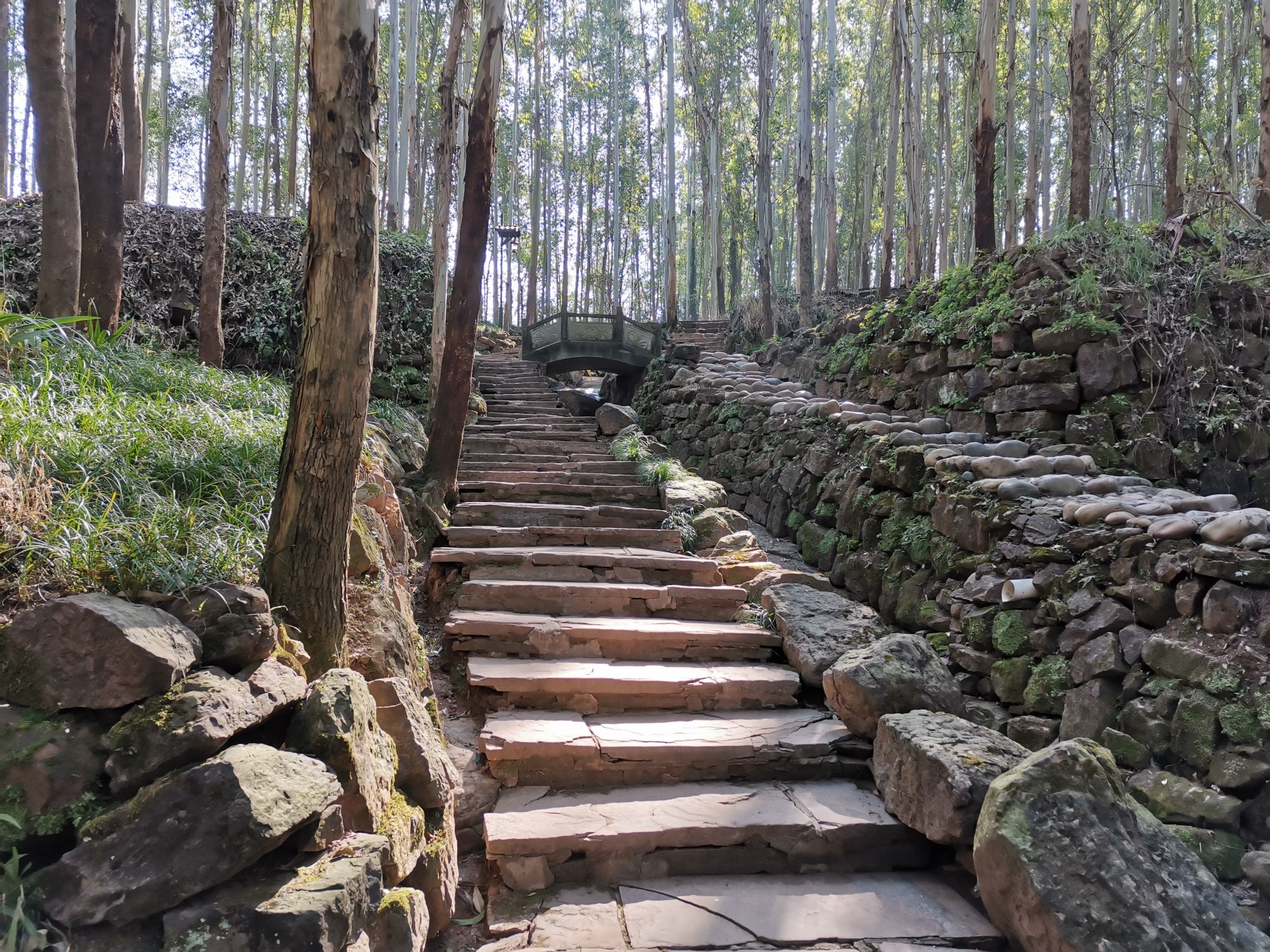成都龙泉仰天窝健身步道登山小记