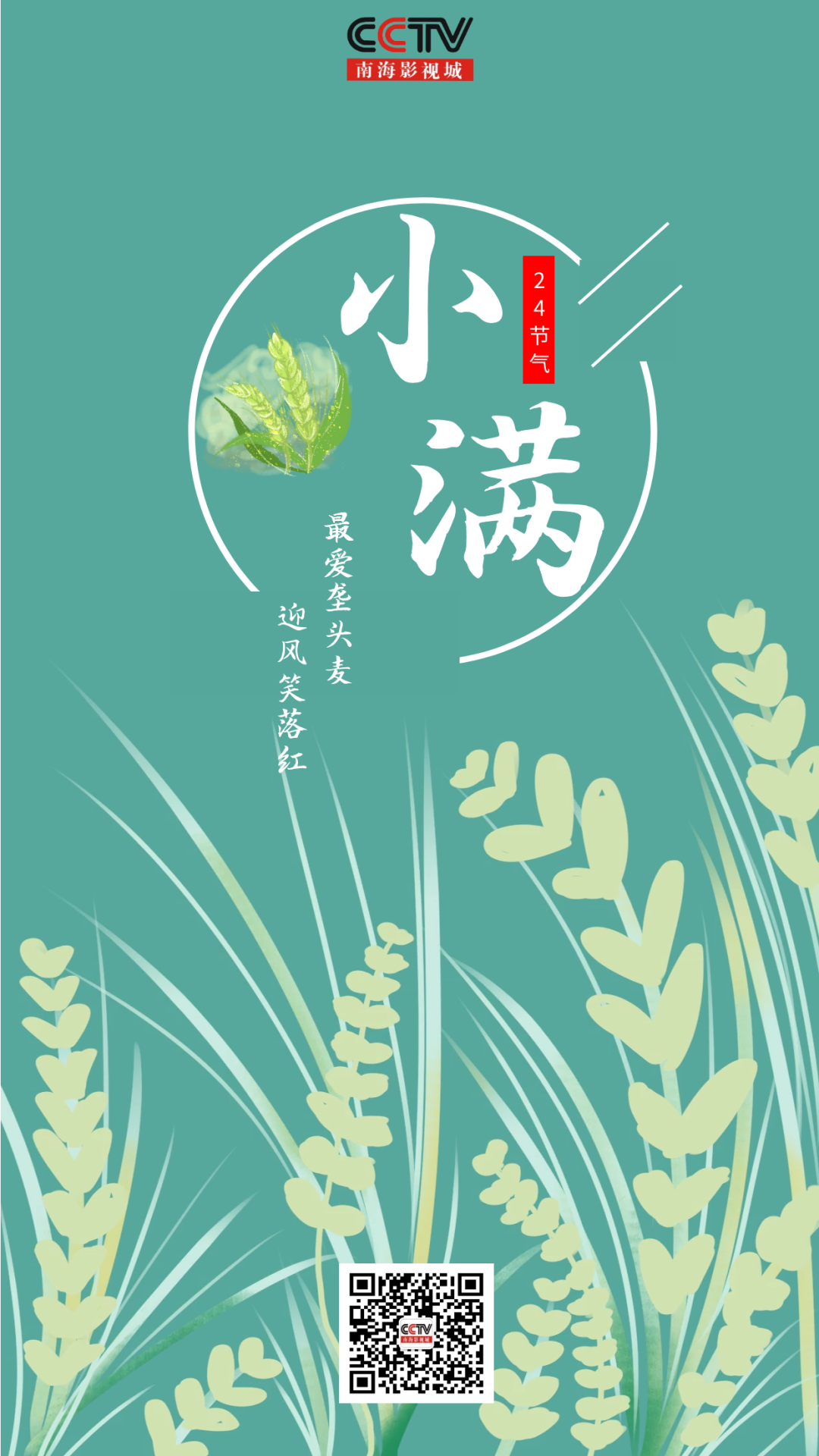 今日小满麦秋至江河满