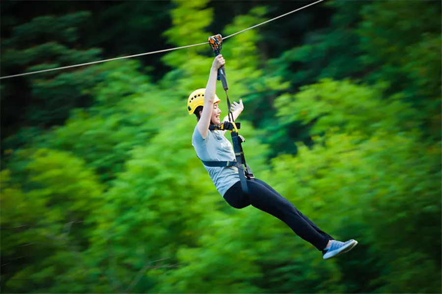 体验高空飞索,享受在丛林间滑行的刺激