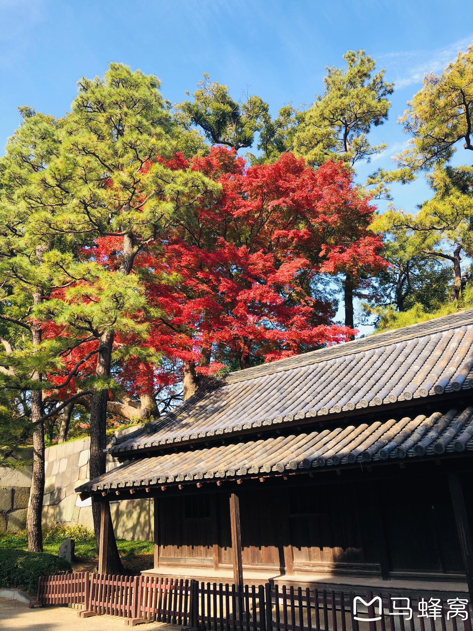 東京自助遊攻略