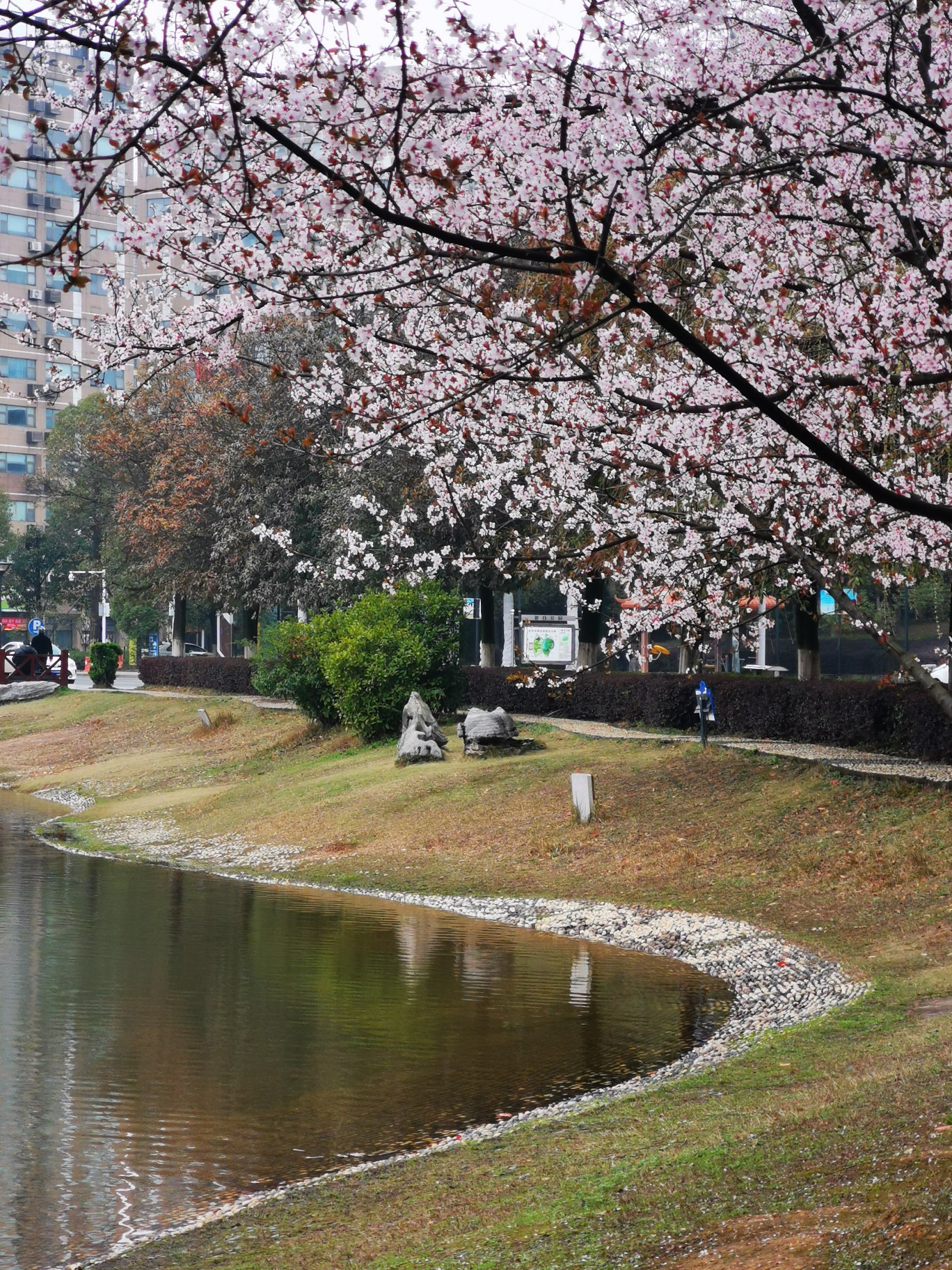 老长沙安利一个小而美的免费公园～麓谷公园,武陵源自助游攻略 - 马