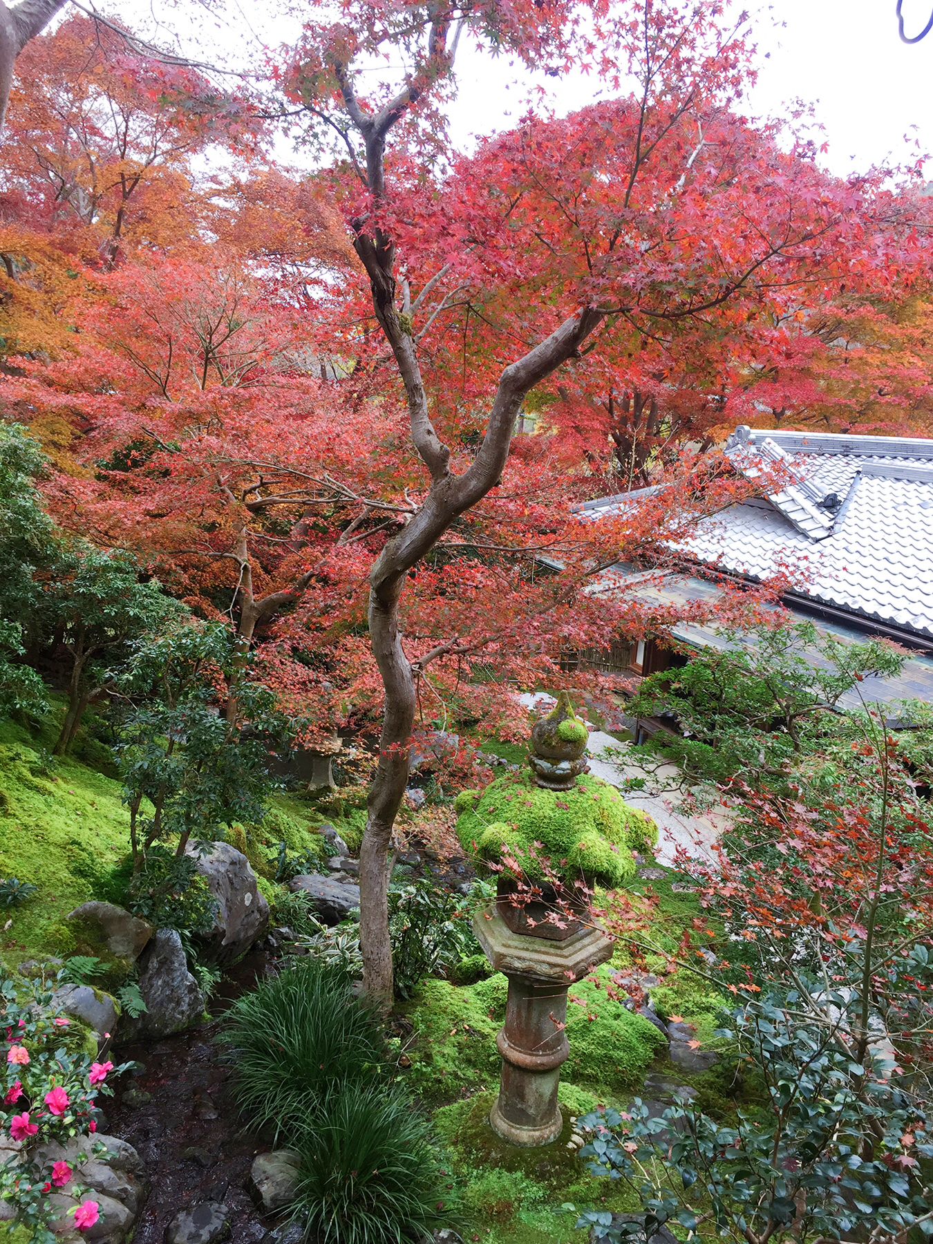 京都自助遊攻略