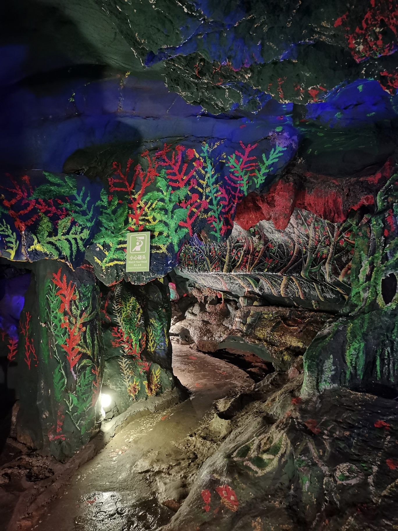 封开龙山黄岩洞景区千层峰天下第一石大斑石二天之旅