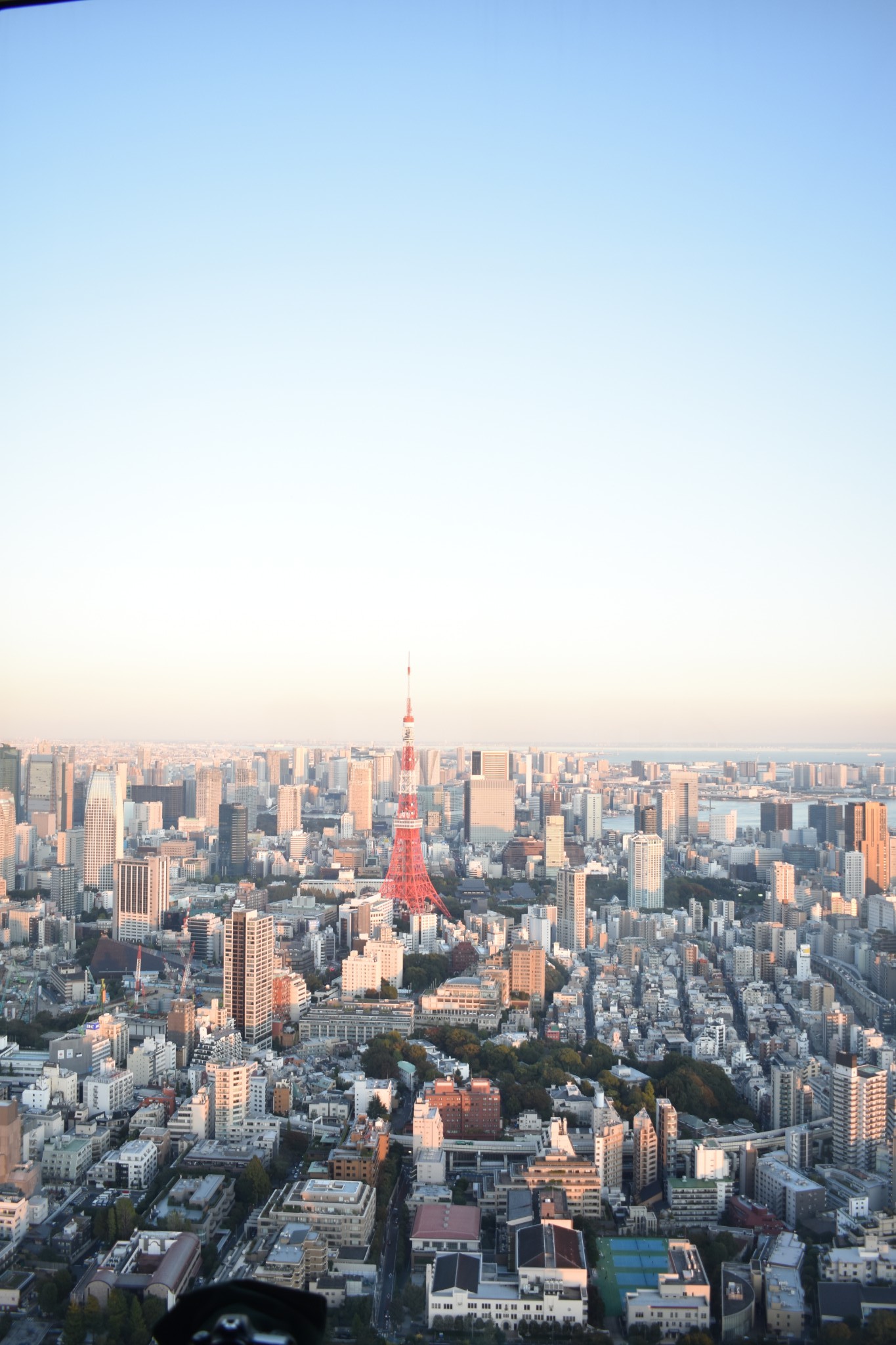 東京自助遊攻略