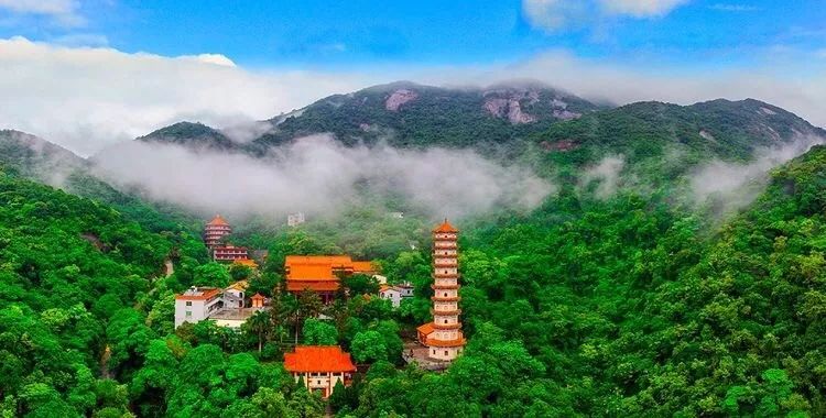 广深出发15h惠州博罗罗浮山下乡村亲子民宿丨上良