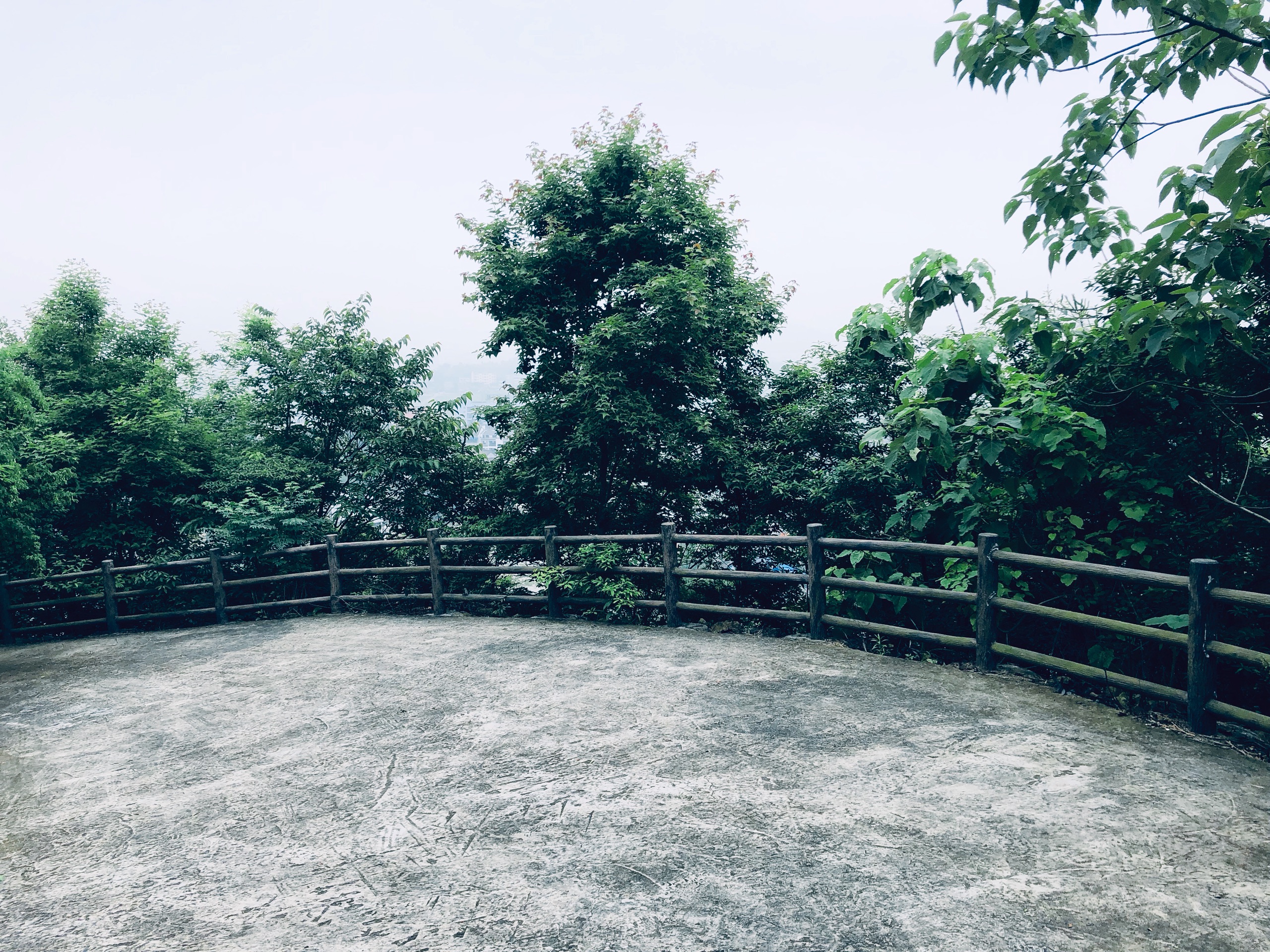 鹤屿山遗址