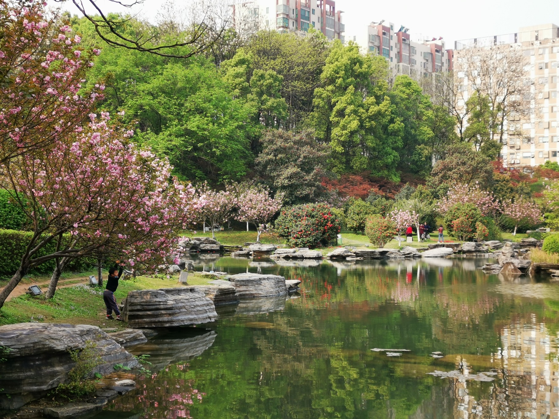 老长沙安利一个小而美的免费公园～麓谷公园,武陵源自助游攻略 - 马