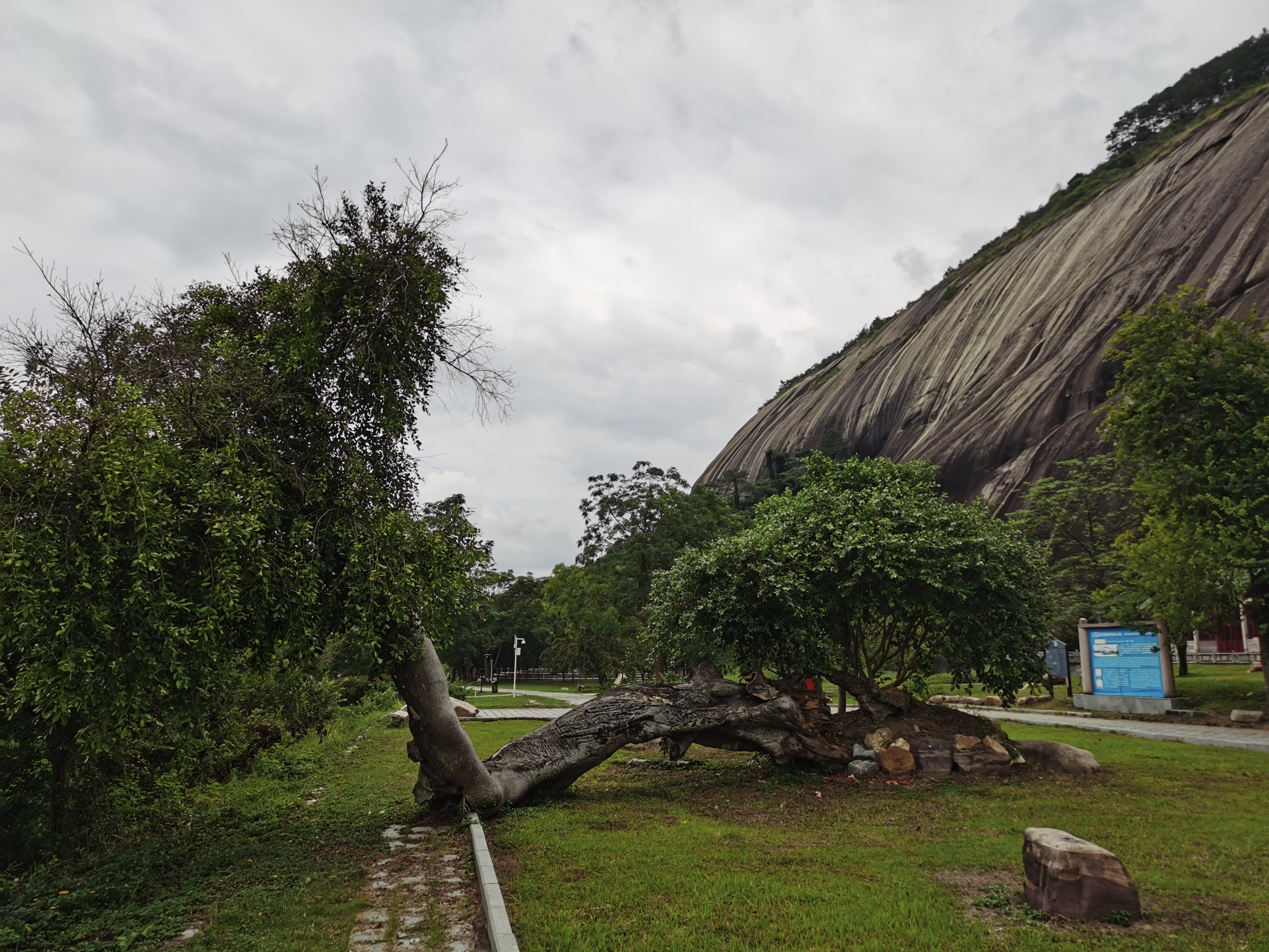 封開龍山黃岩洞景區千層峰天下第一石大斑石二天之旅