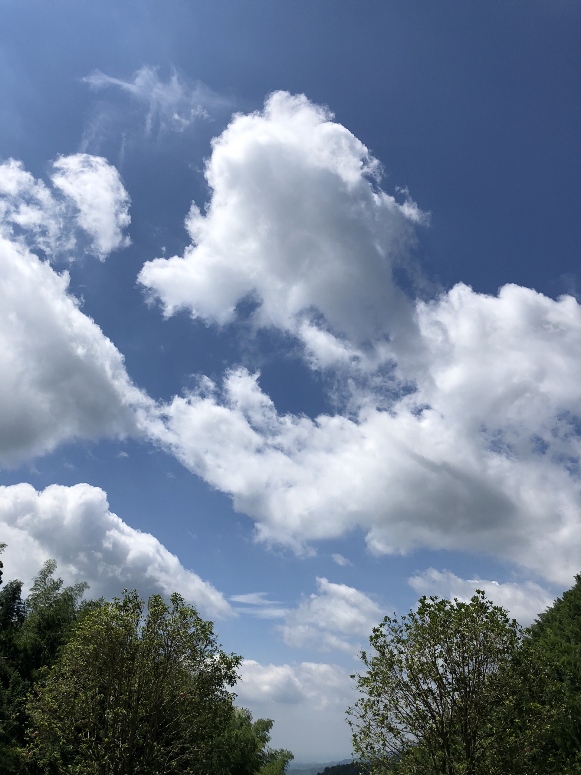 雷钵岭