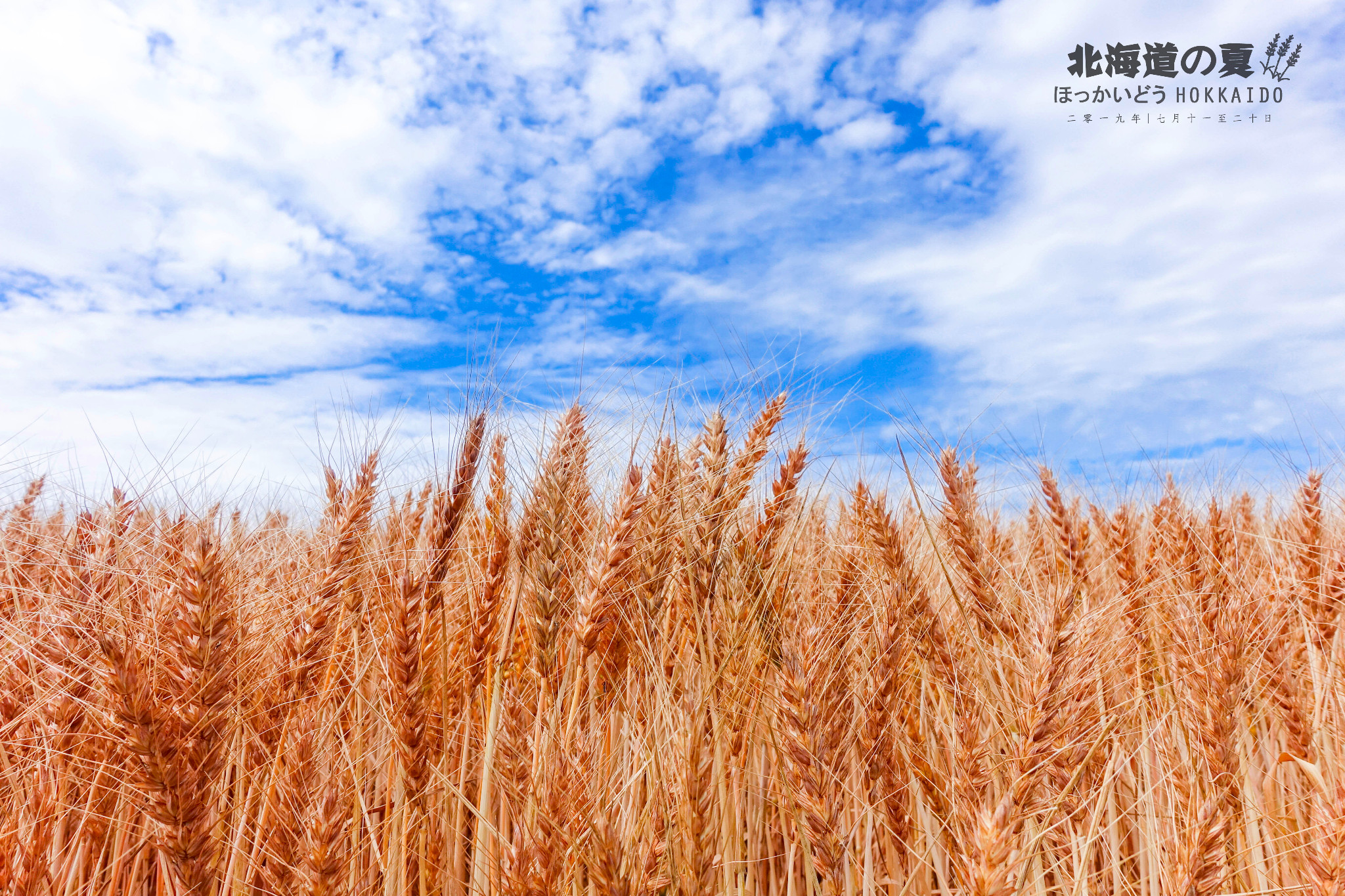 北海道自助遊攻略