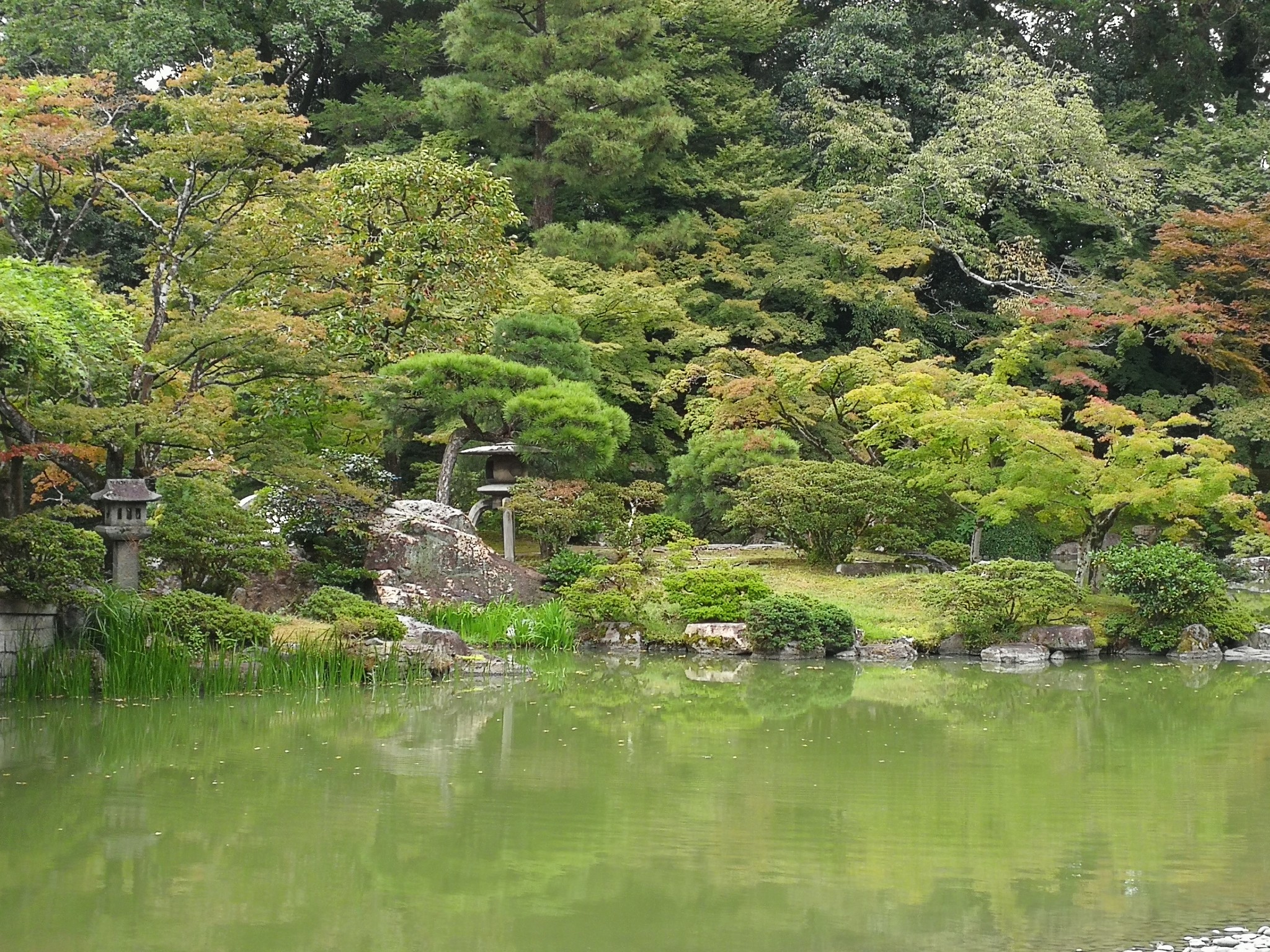 京都自助遊攻略