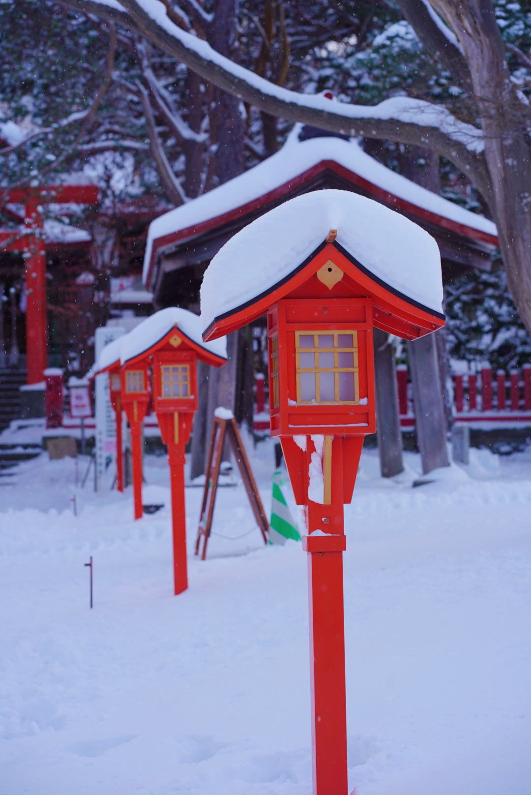 北海道自助遊攻略