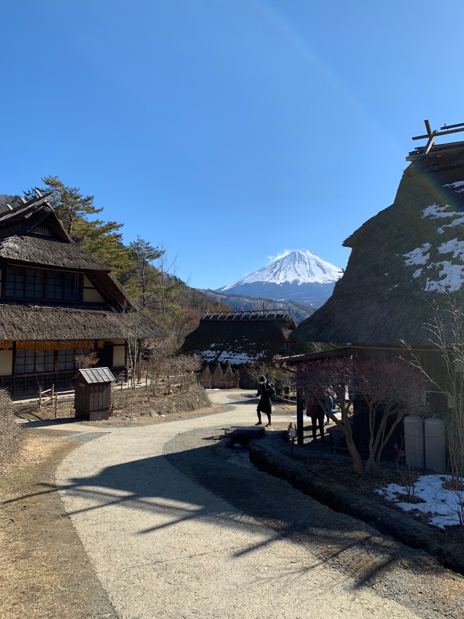 北海道自助遊攻略