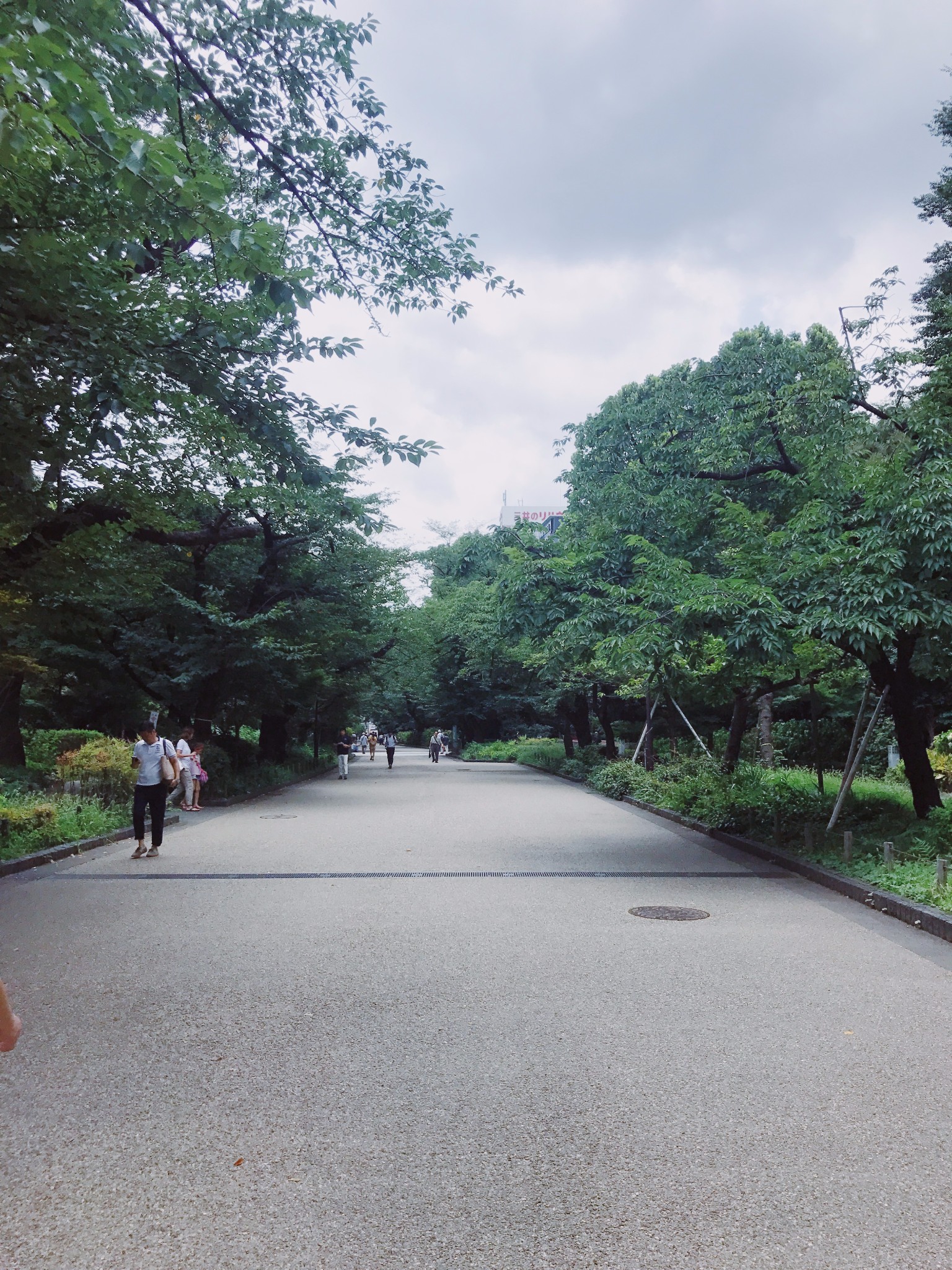 東京自助遊攻略