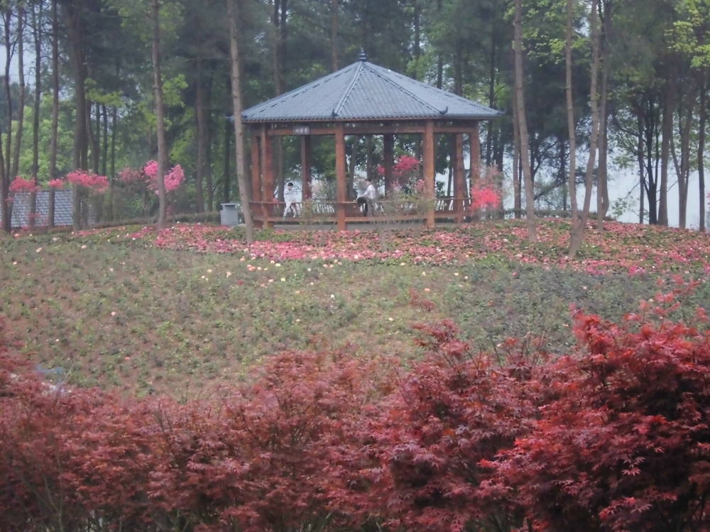 2017年4月重慶南湖多彩植物園