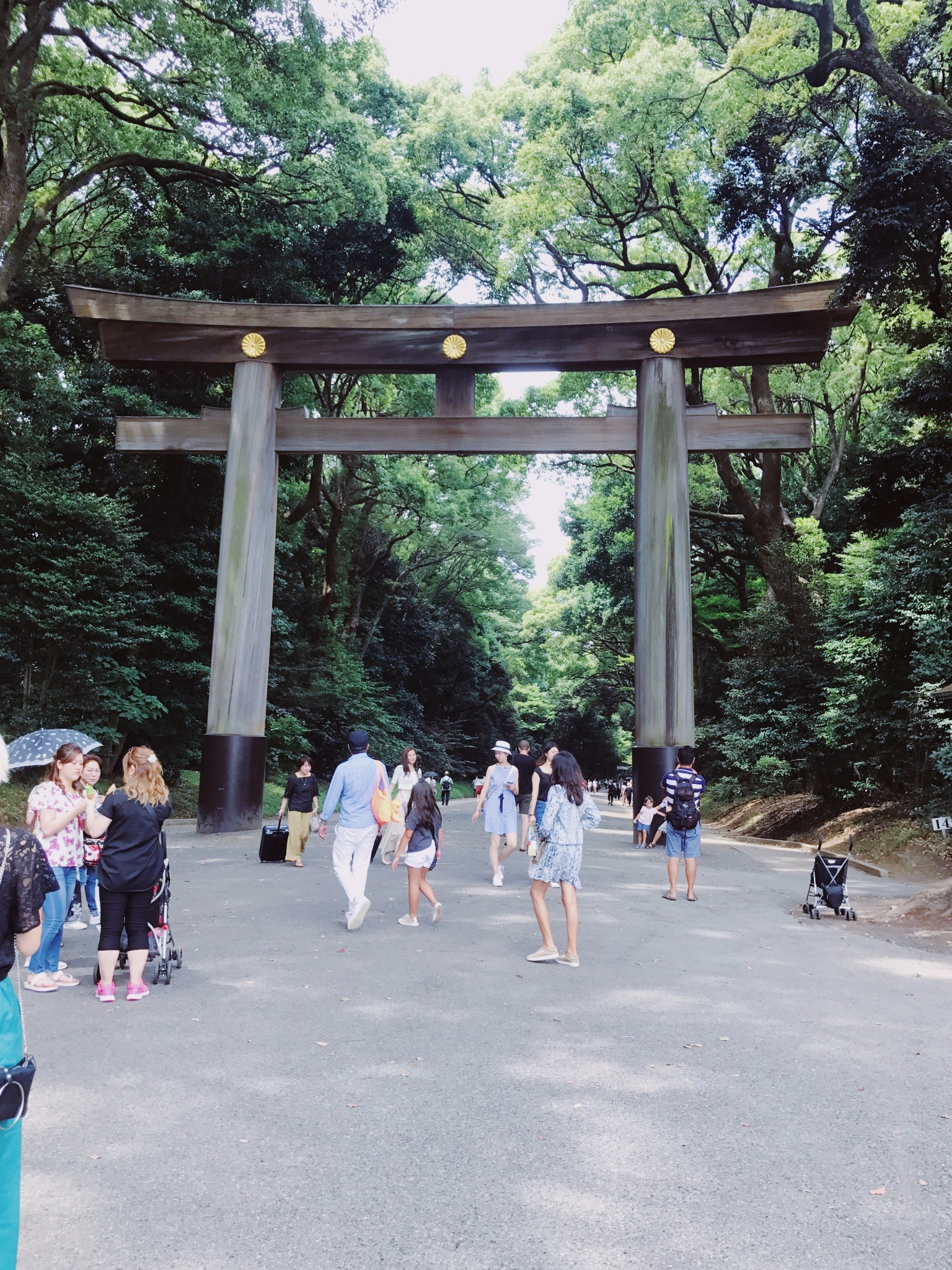 東京自助遊攻略