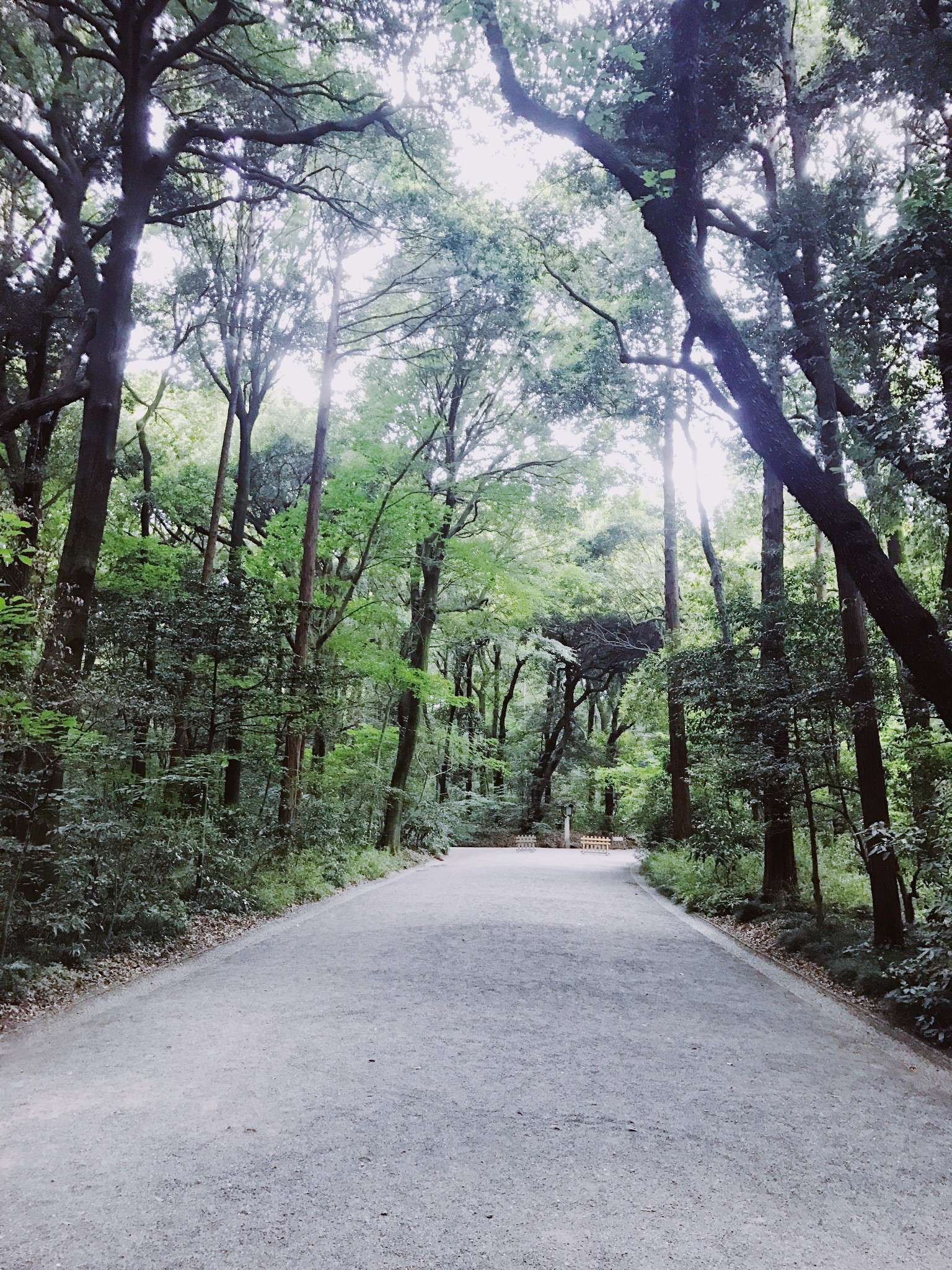 東京自助遊攻略