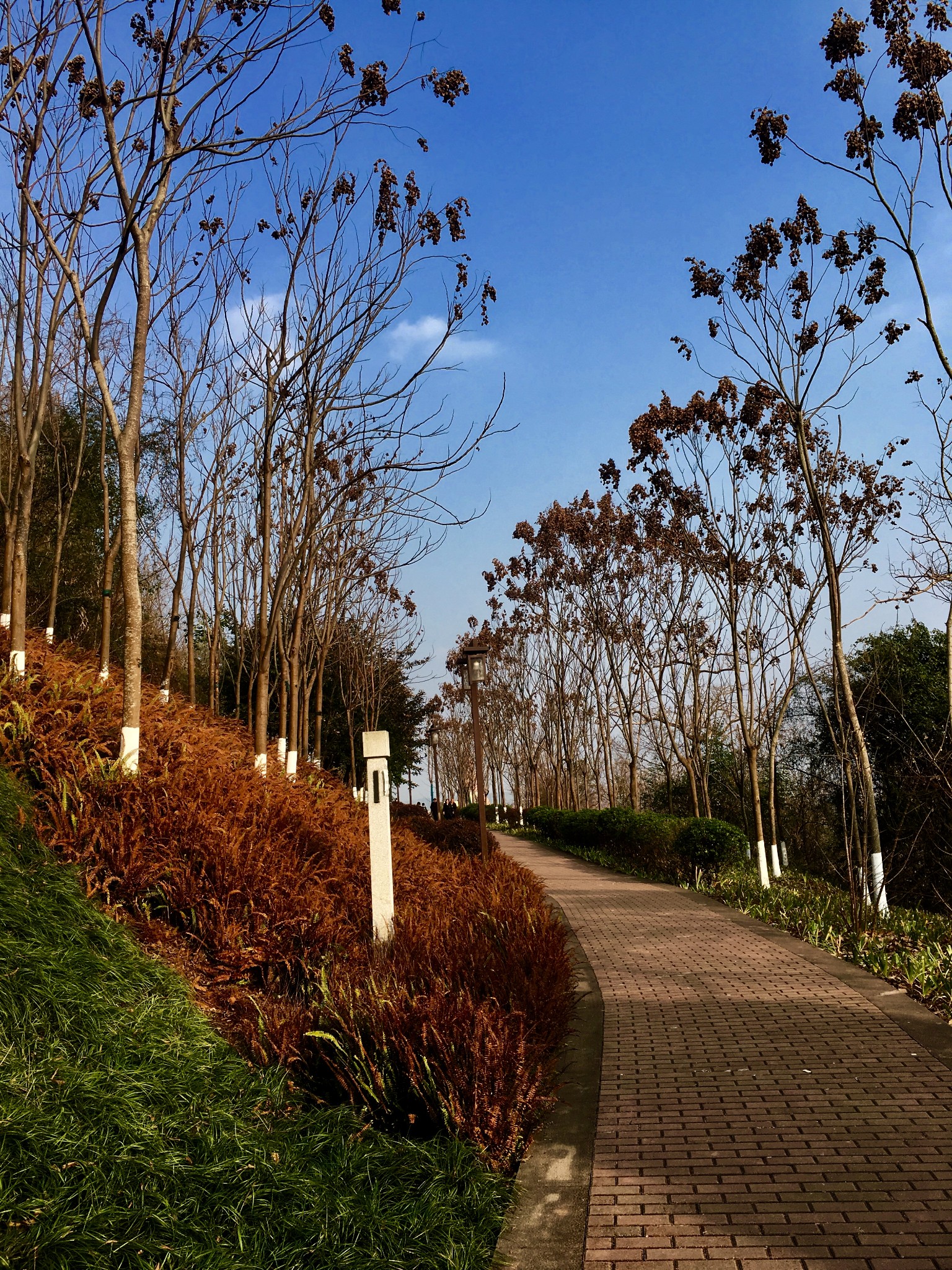 資陽鳳嶺公園,資陽自助遊攻略 - 馬蜂窩