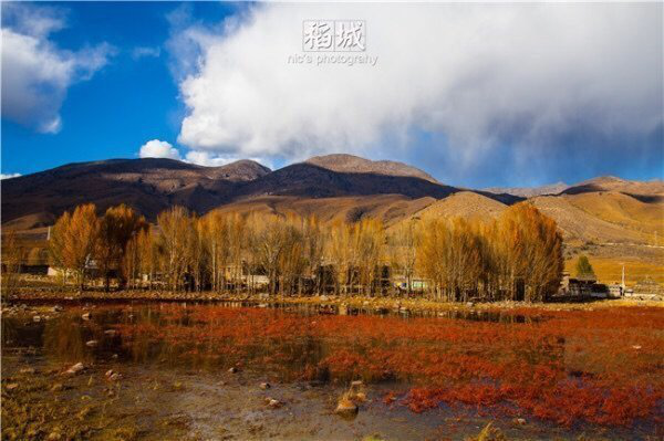 稻紅草灘於桑堆鎮吉依村,因此也叫桑堆紅草灘,離 稻城