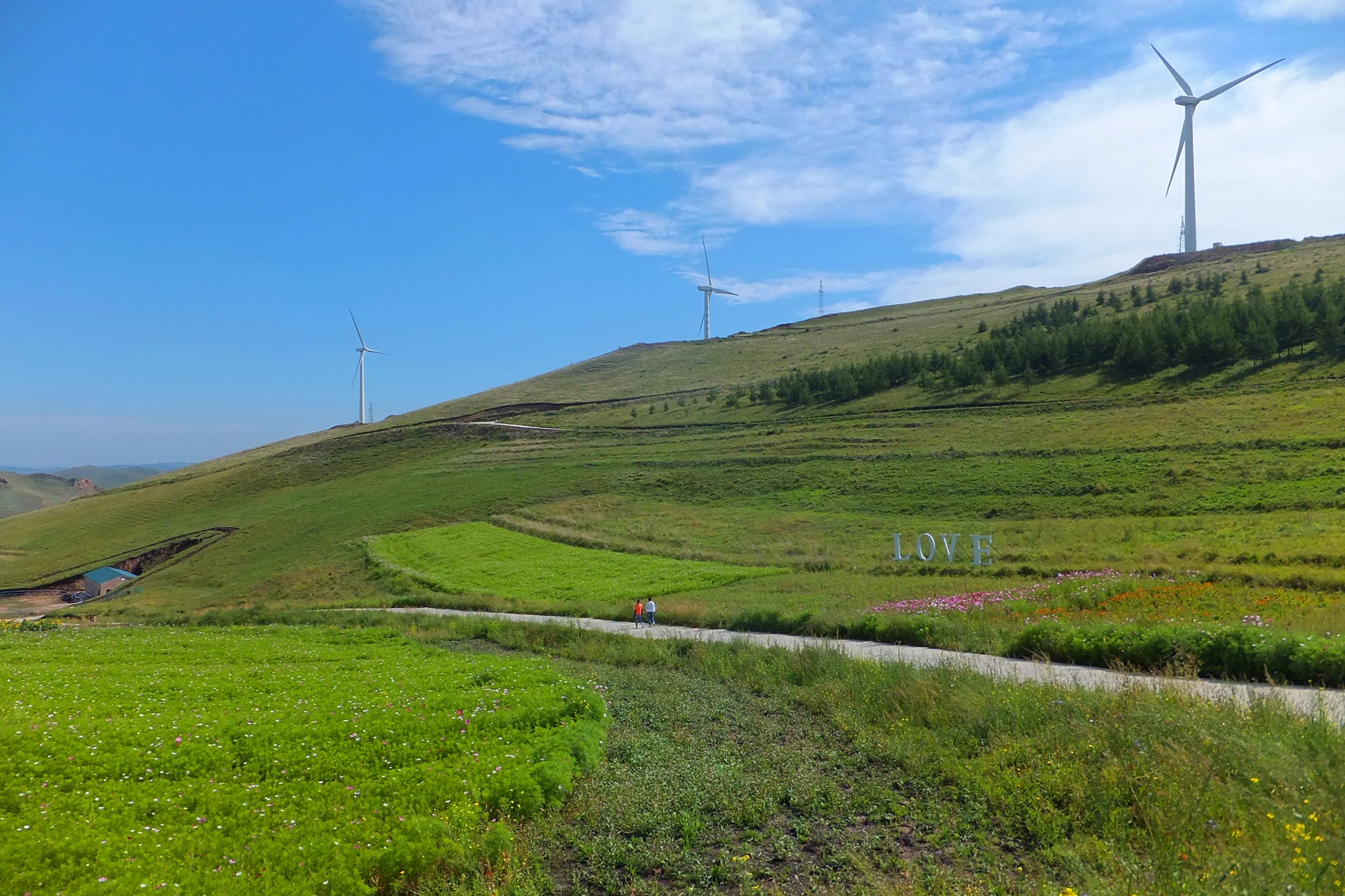 張北草原二日遊—天鹿大本營,草原天路,張北旅遊攻略 - 馬蜂窩