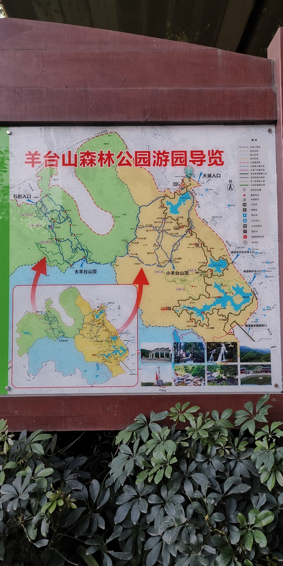 羊台山森林公园路线图片