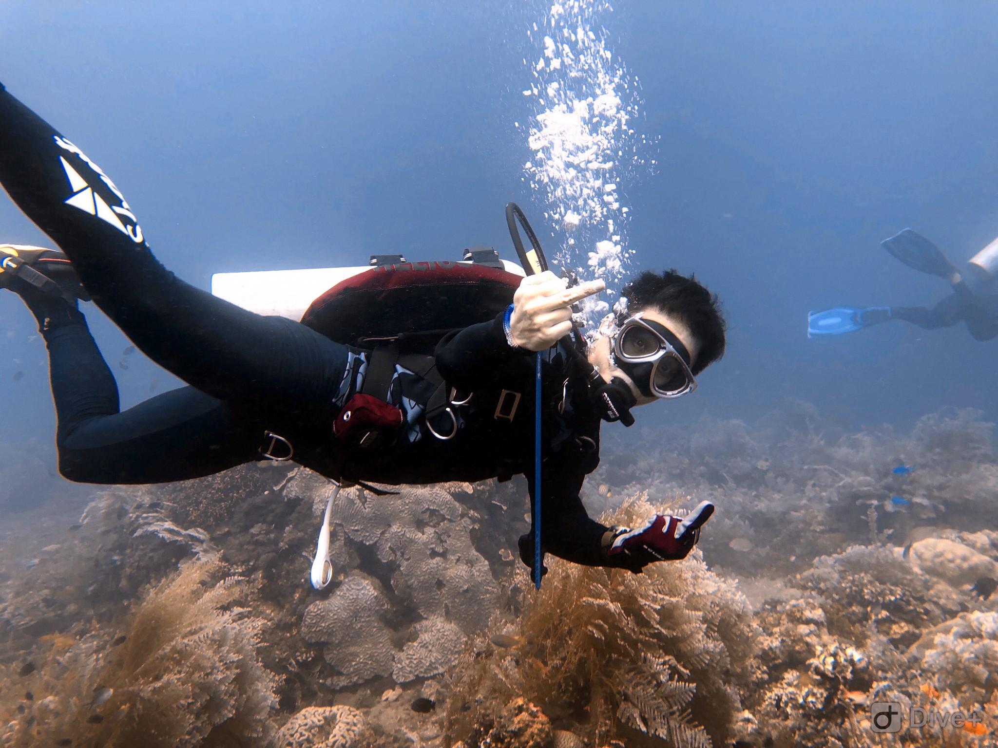 2019惠州双月湾吃住行丨重点小星山浮潜深潜攻略