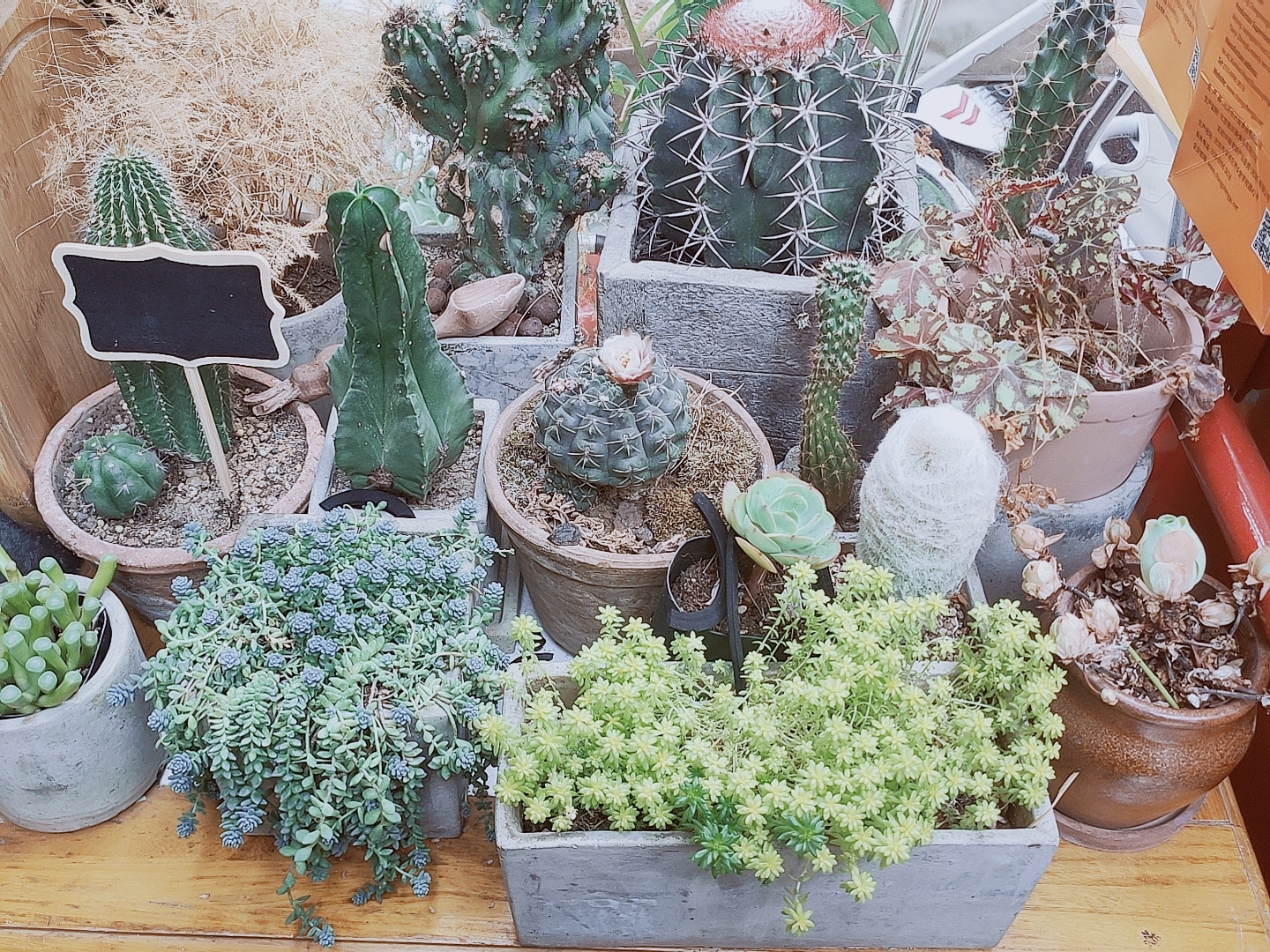 平谷山上的咖啡店