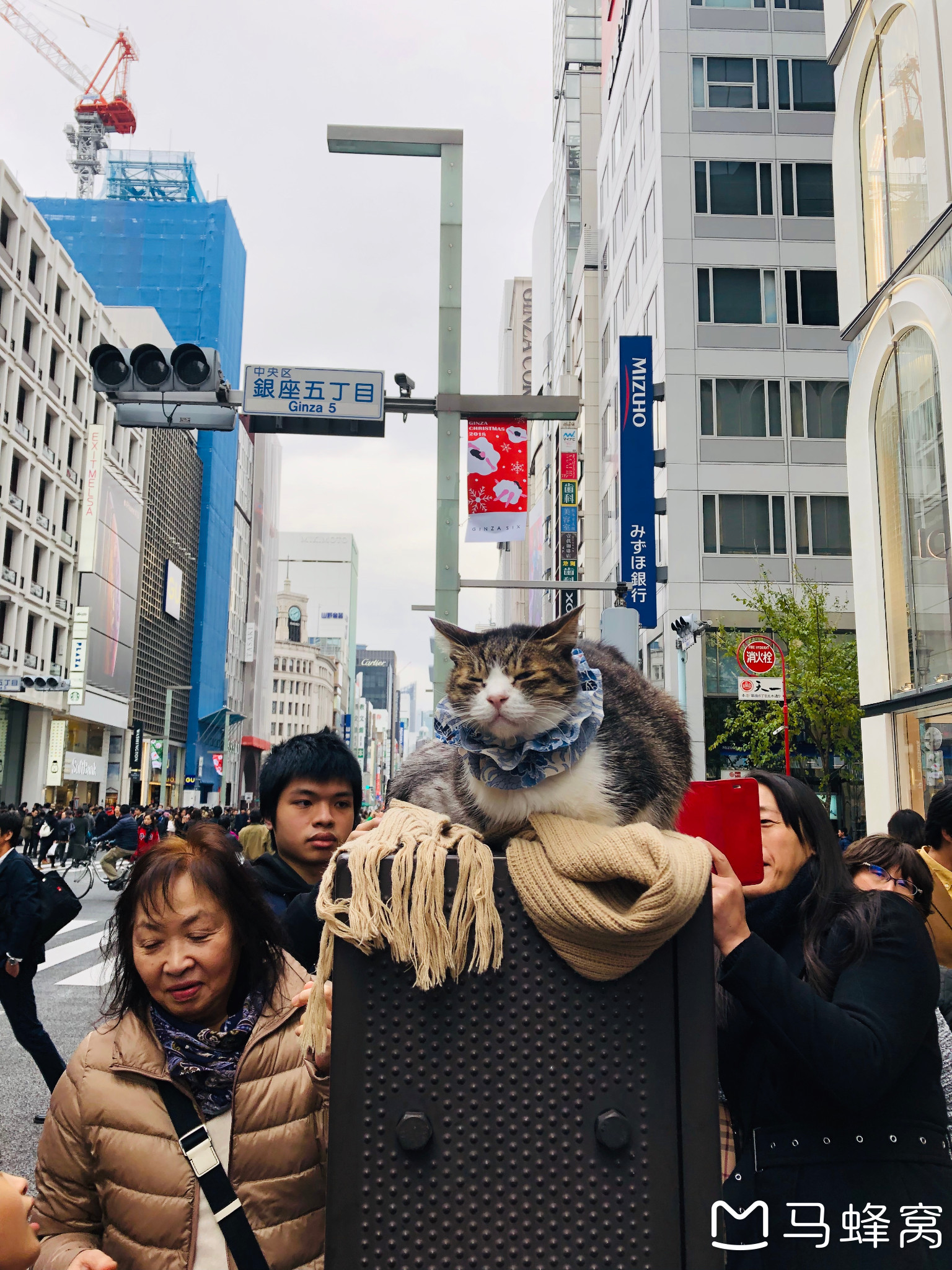 東京自助遊攻略