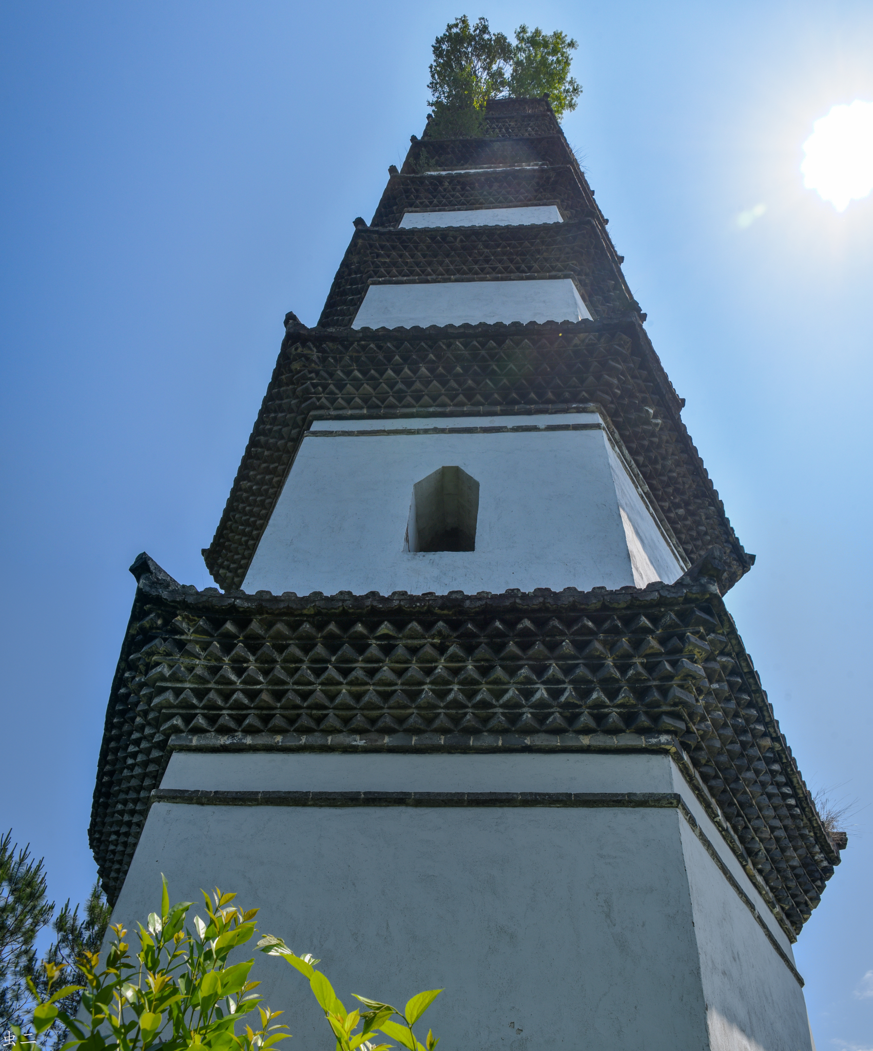 松阳 青云塔 县保 古塔巡礼系列之444 青蒙塔