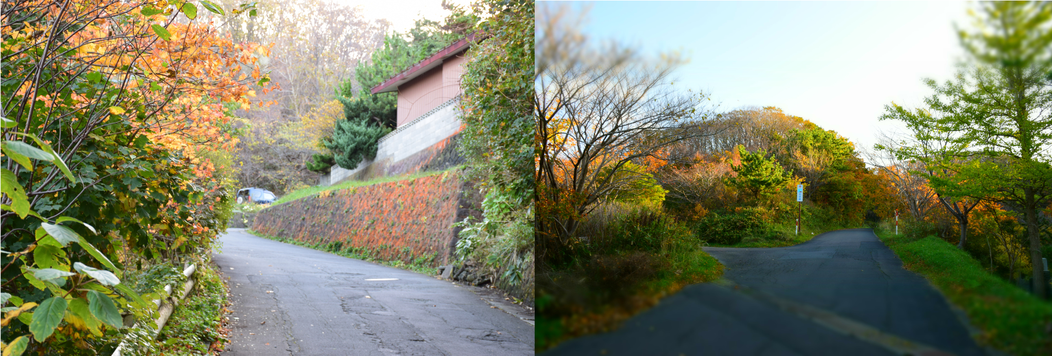 北海道自助遊攻略