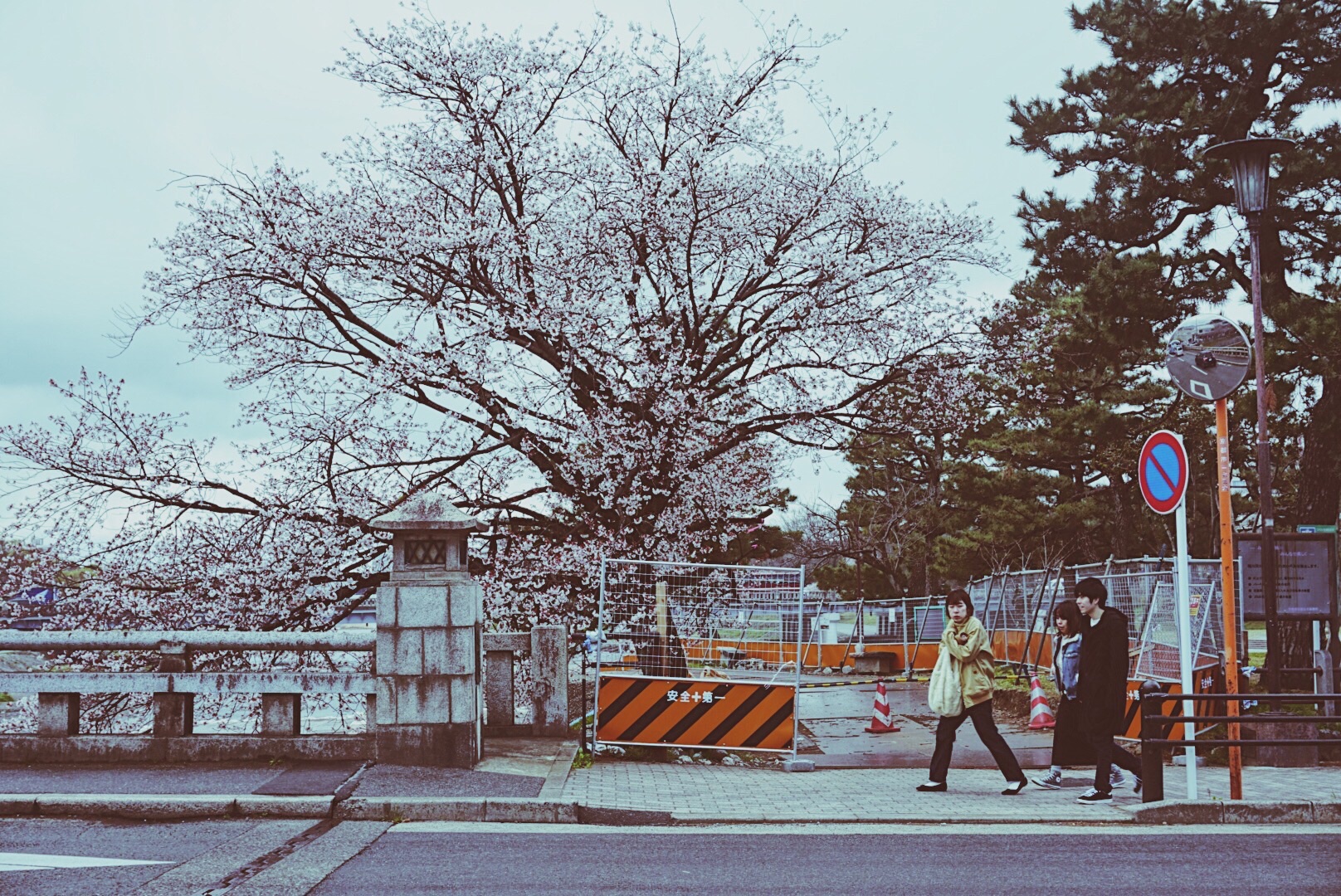 京都自助遊攻略